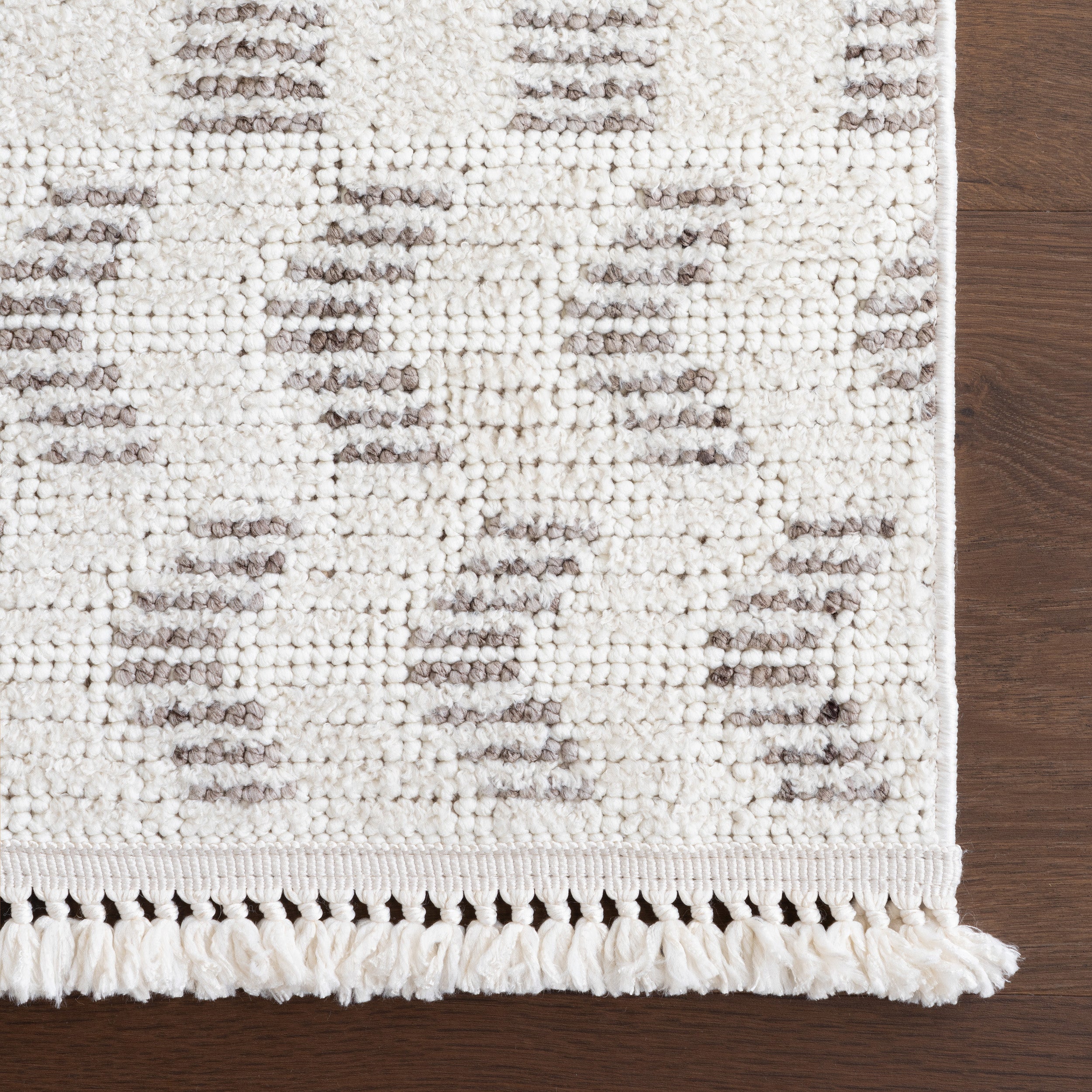 Allona Geometric Tassels Area Rug - Image 6