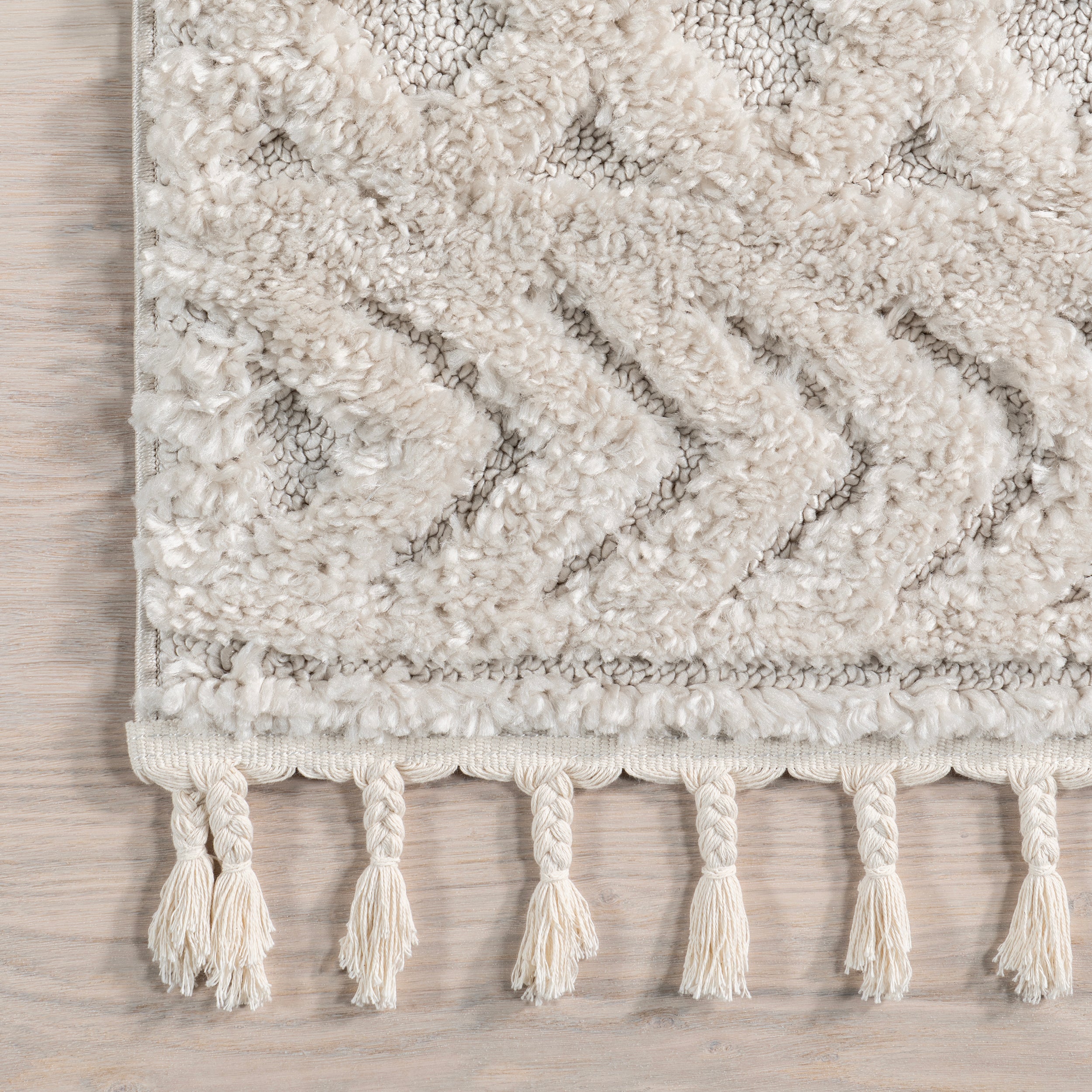 Akia Lattice High/Low Tassel Area Rug - Image 24