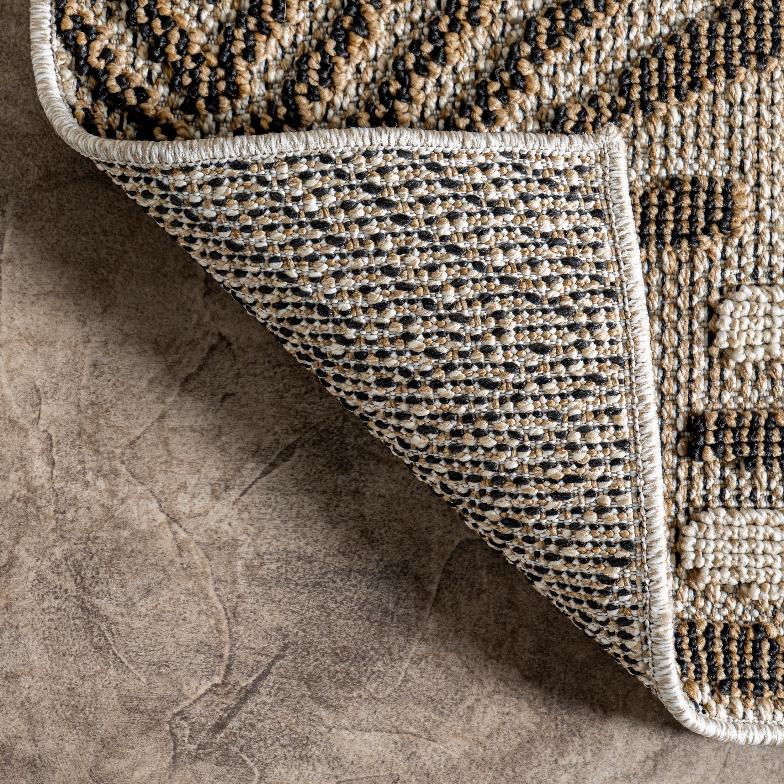 Mandie Modern Zebra Indoor/Outdoor Area Rug - Image 7