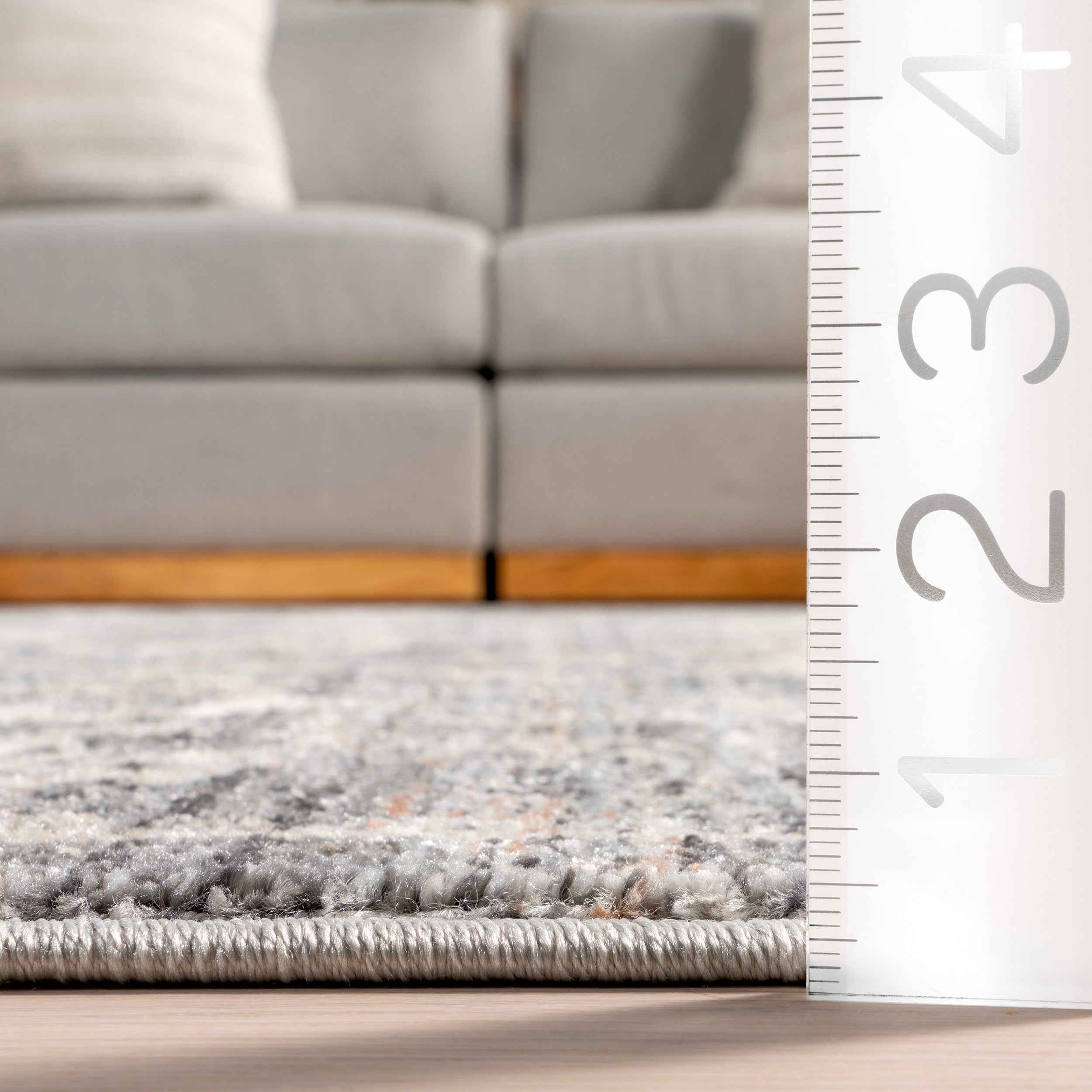 Kaylani Transitional Medallion Area Rug - Image 3