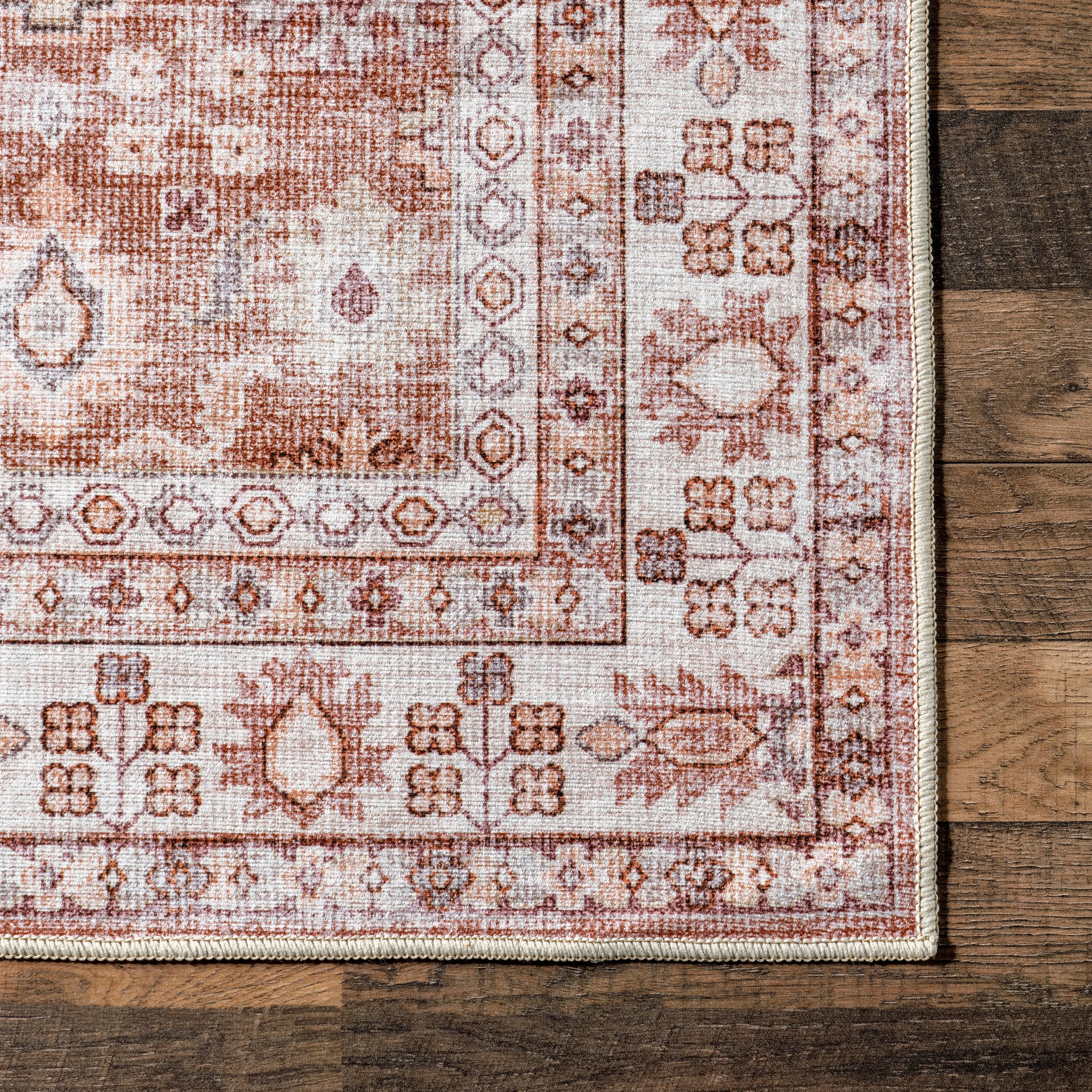 Sesilia Vintage Transitional Machine Washable Area Rug - Image 5