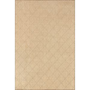 Ray Diamond Indoor/Outdoor Area Rug