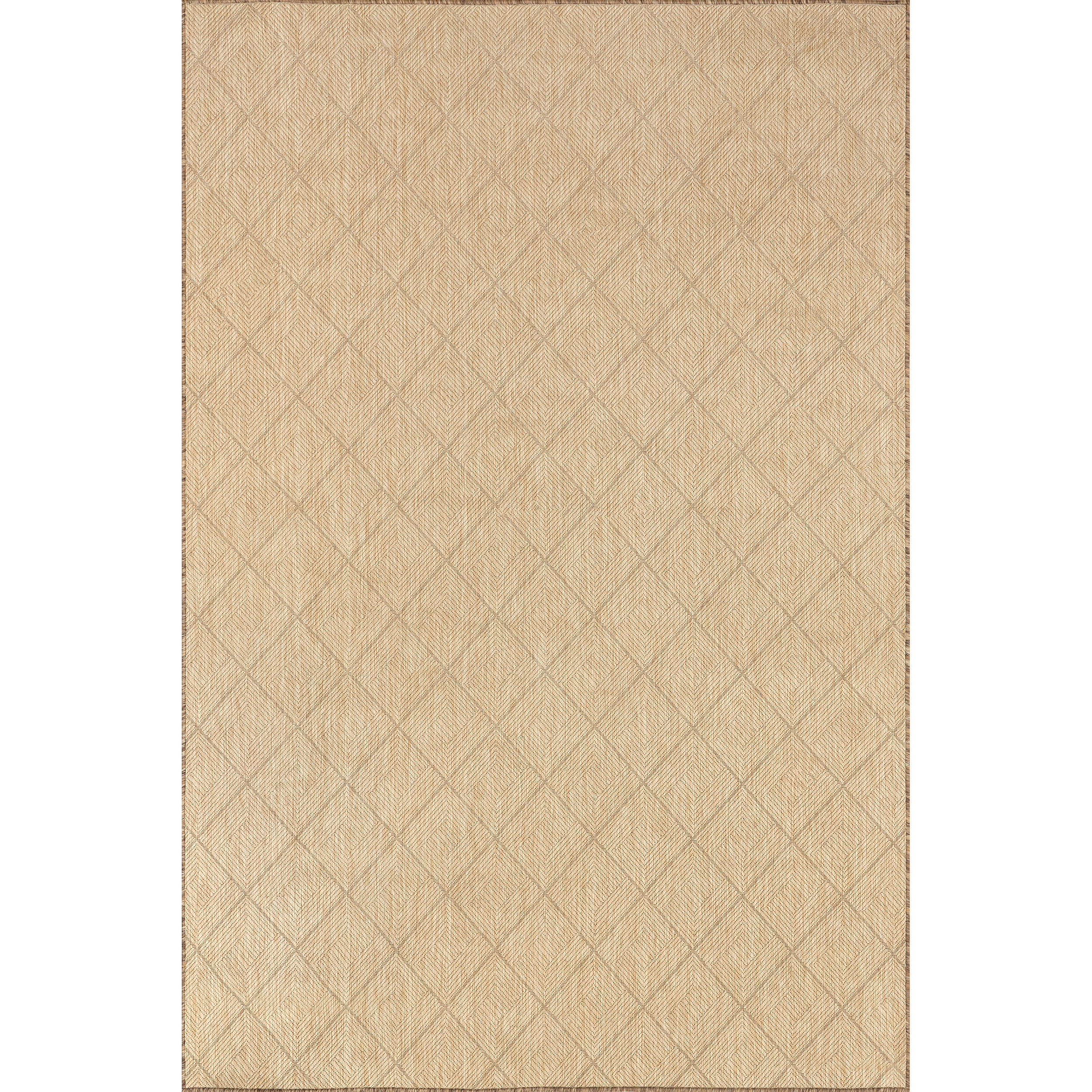 Ray Diamond Indoor/Outdoor Area Rug