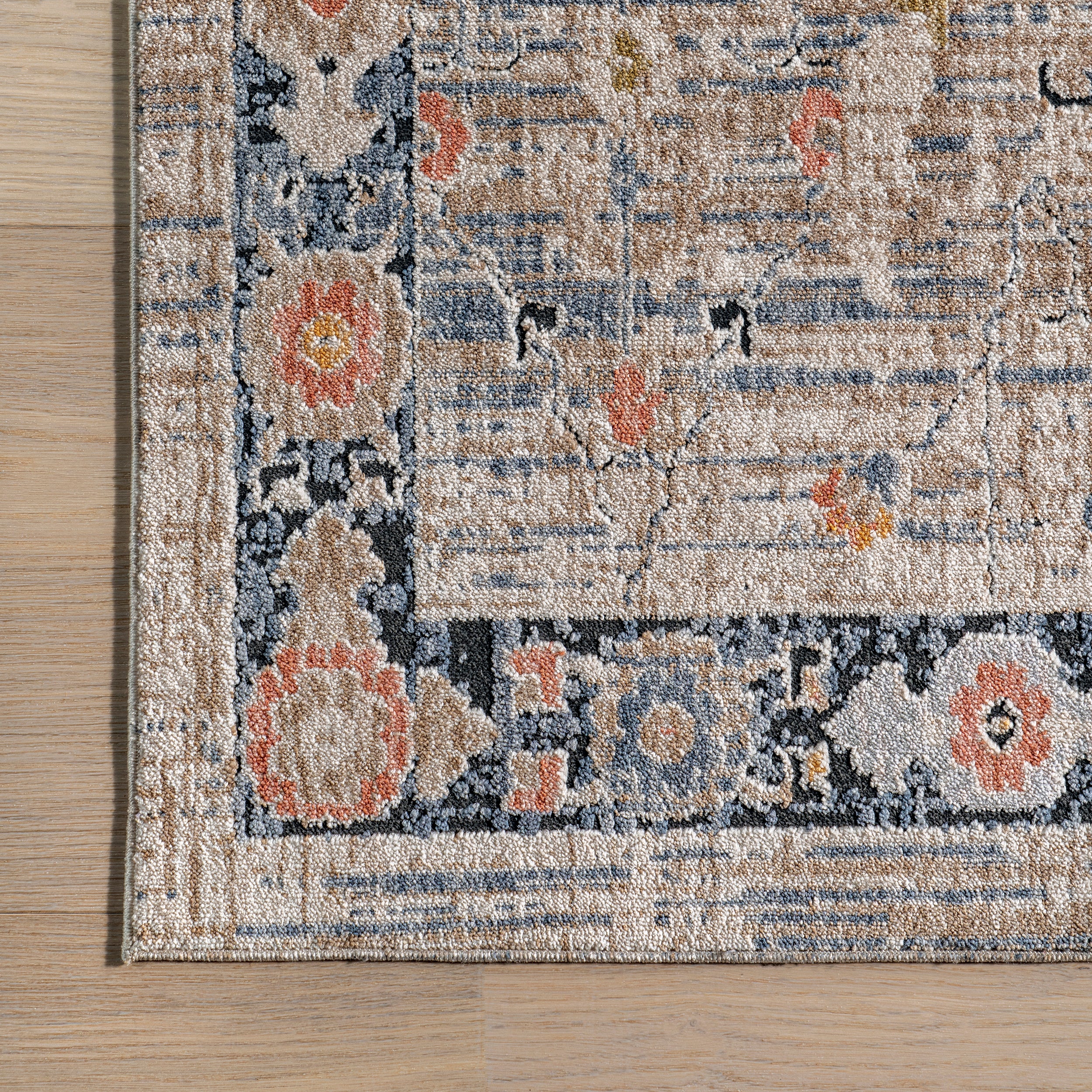 Acelynn Distressed Traditional Area Rug - Image 5