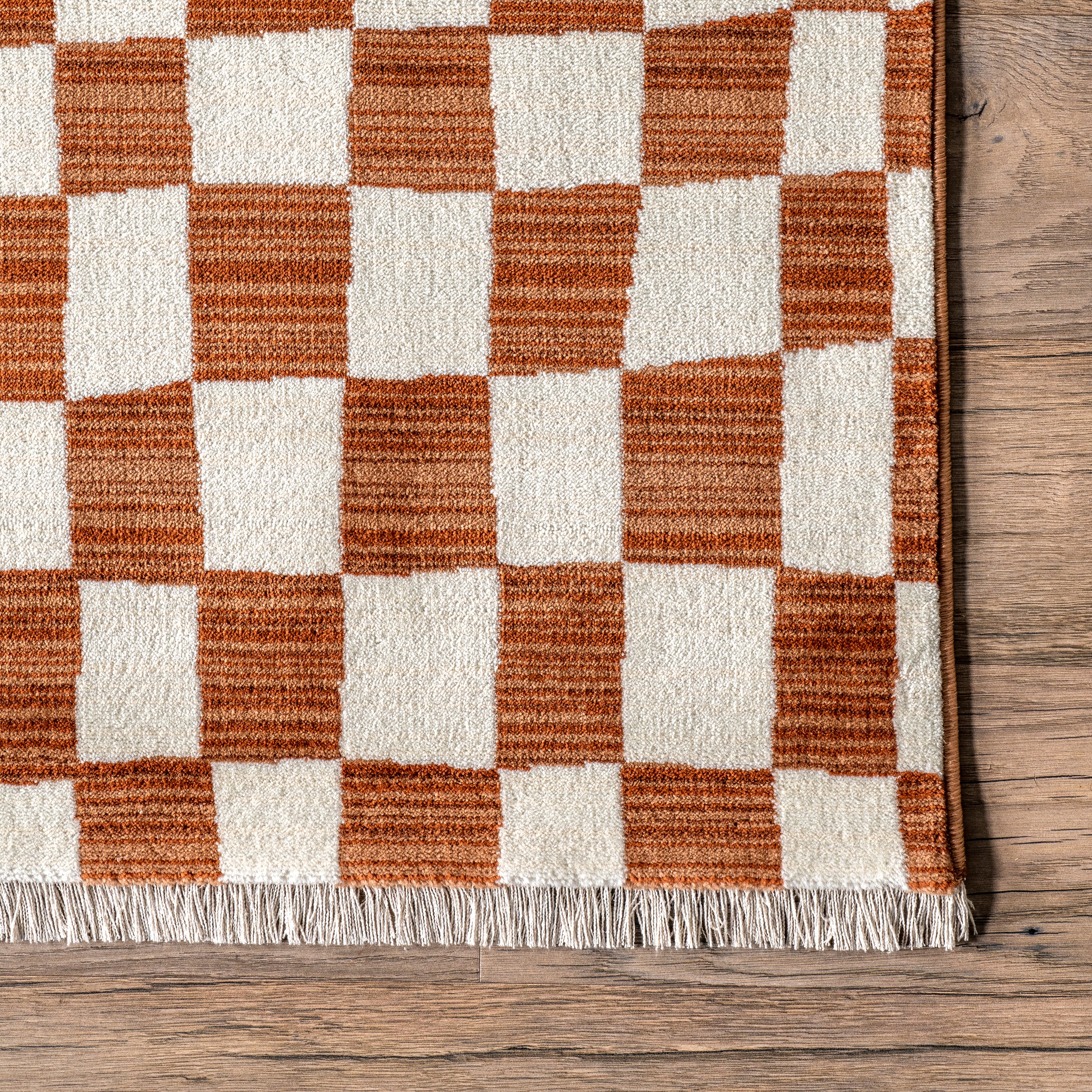 Dominique Abstract Checkered Fringe Area Rug - Image 14