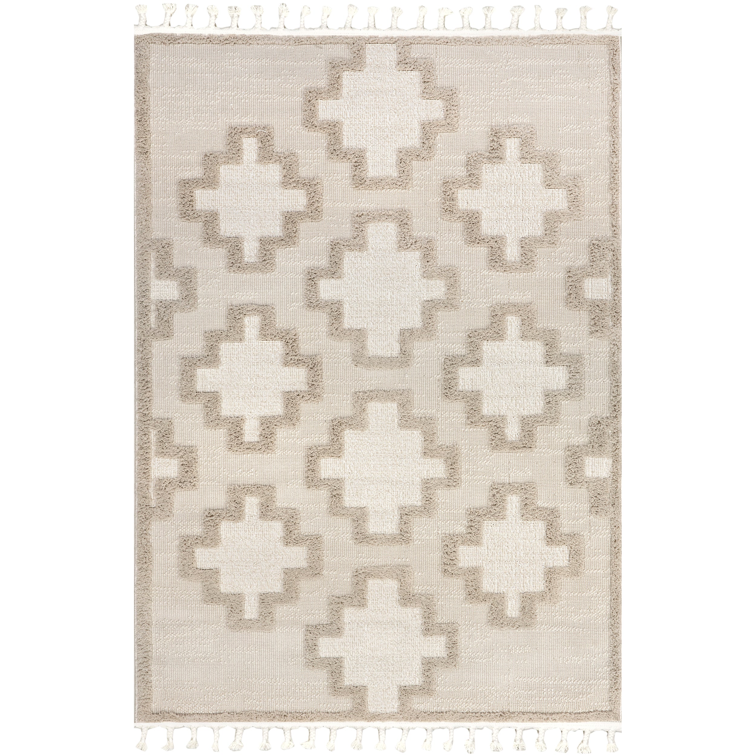 Polina Geometric High-Low Tasseled Area Rug
