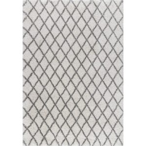 Lenita Trellis Shaggy Area Rug
