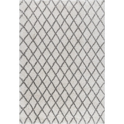 Lenita Trellis Shaggy Area Rug