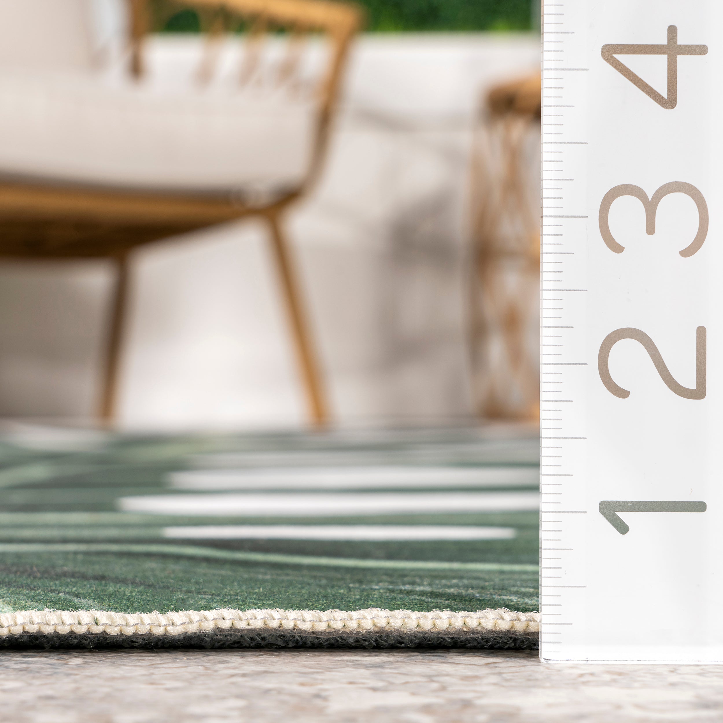 Taka Palm Indoor/Outdoor Machine Washable Area Rug - Image 3