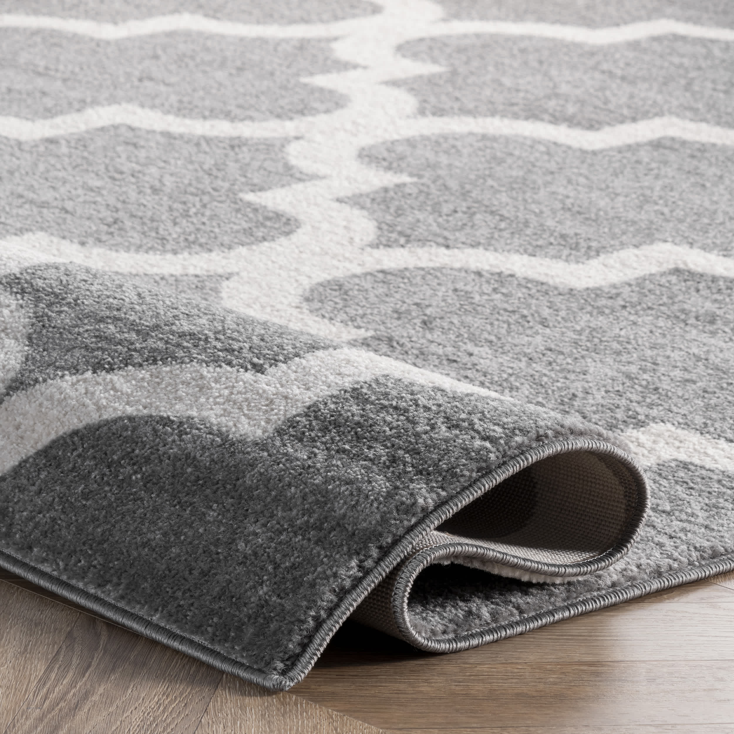 Meeker Trellis Area Rug - Image 4