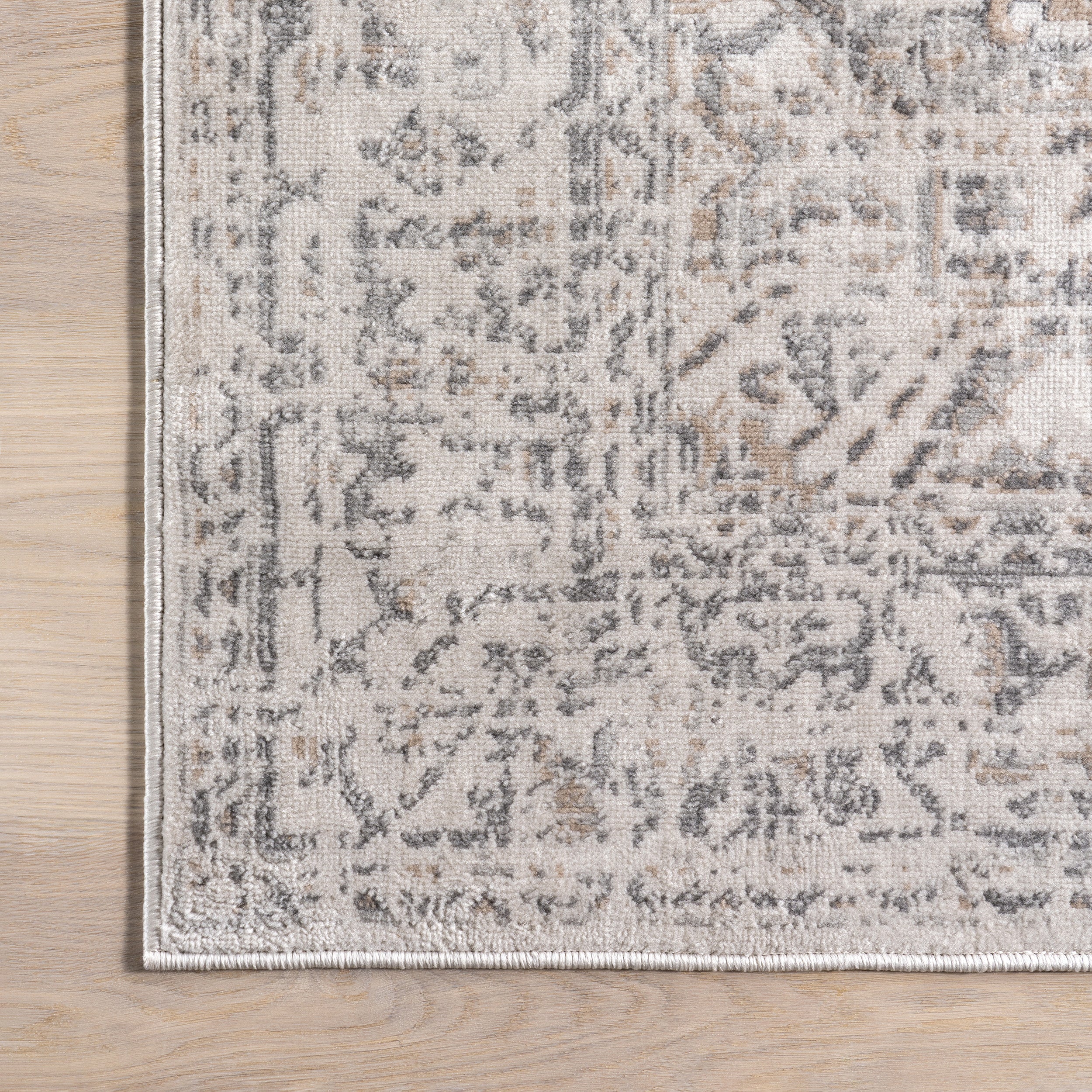 Lilibet Traditional Medallion Area Rug - Image 6