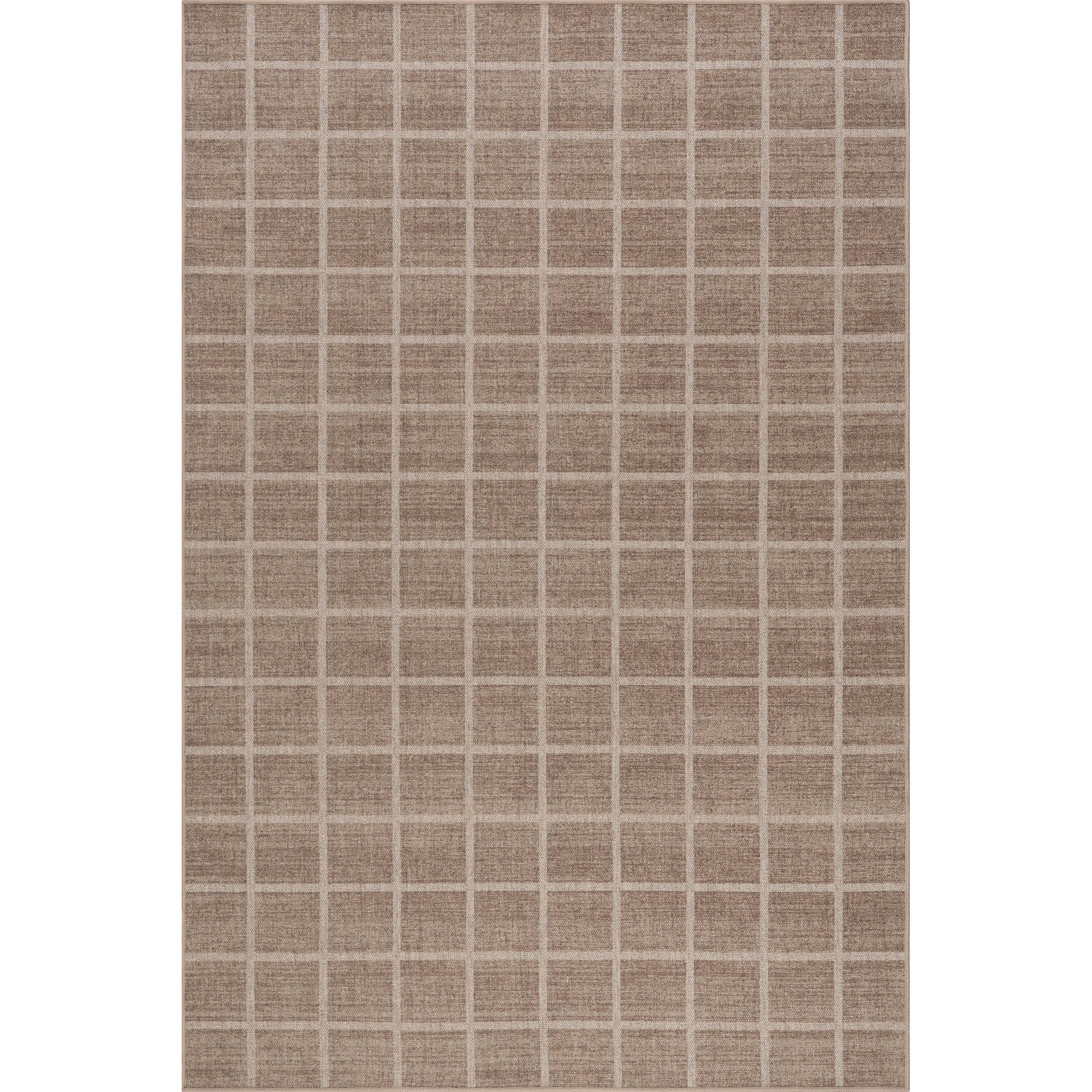 Daena Checkered Machine Washable Area Rug