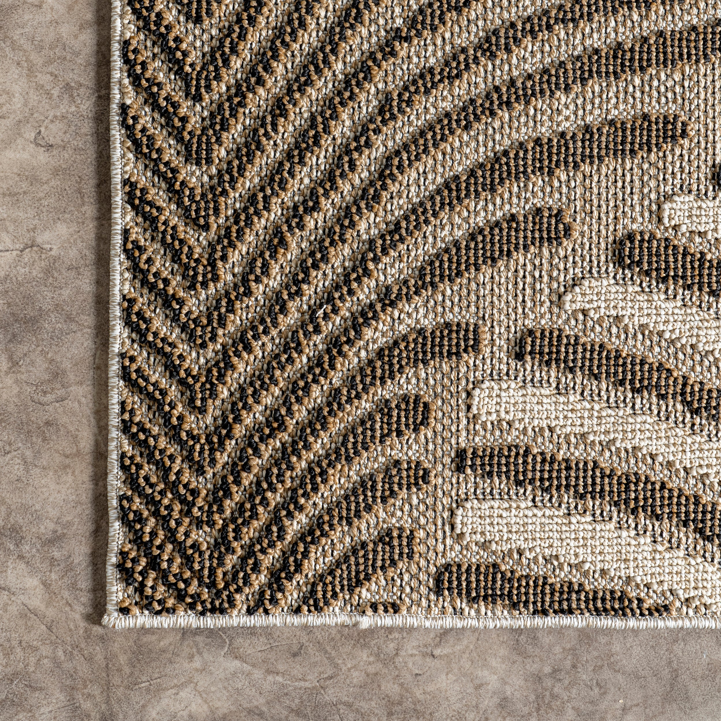 Mandie Modern Zebra Indoor/Outdoor Area Rug - Image 5