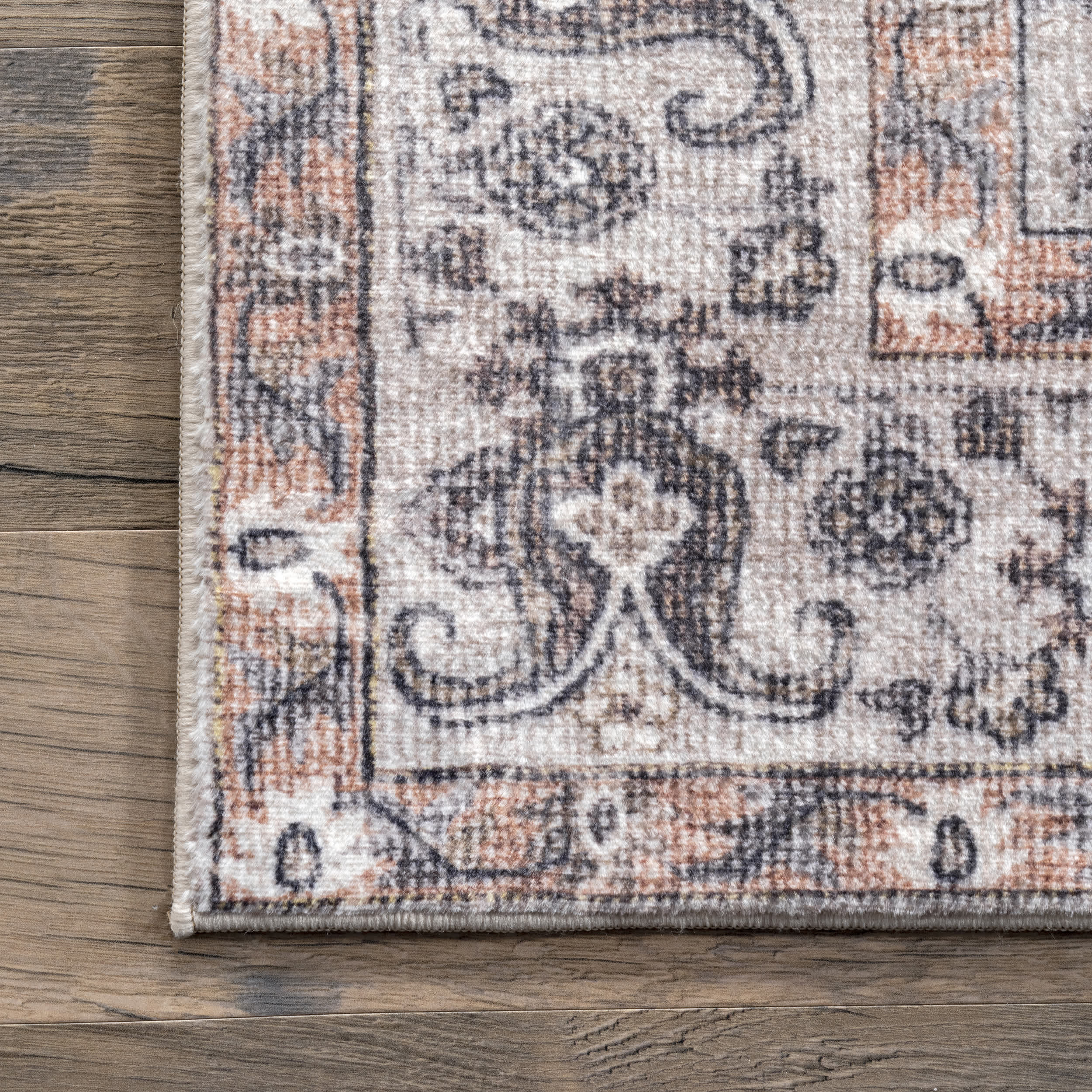 Vintage Paisley Area Rug - Image 5