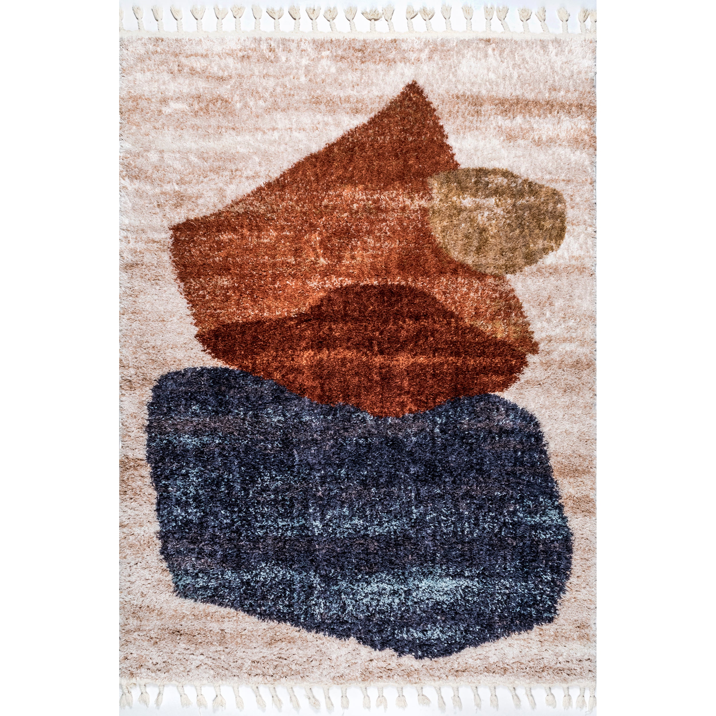 Kassidy Shaggy Contemporary Tassel Area Rug