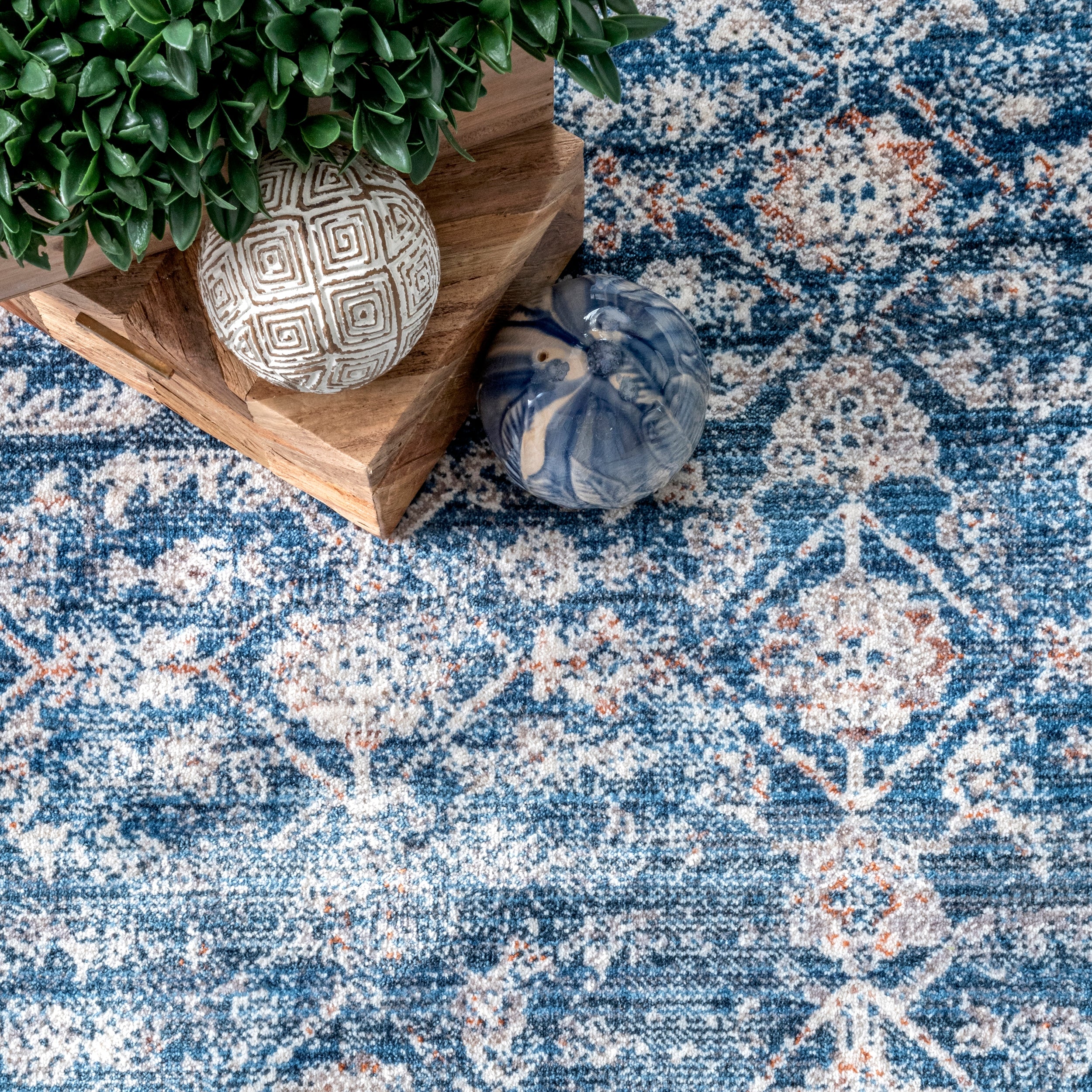Fernanda Faded Persian Area Rug - Image 6