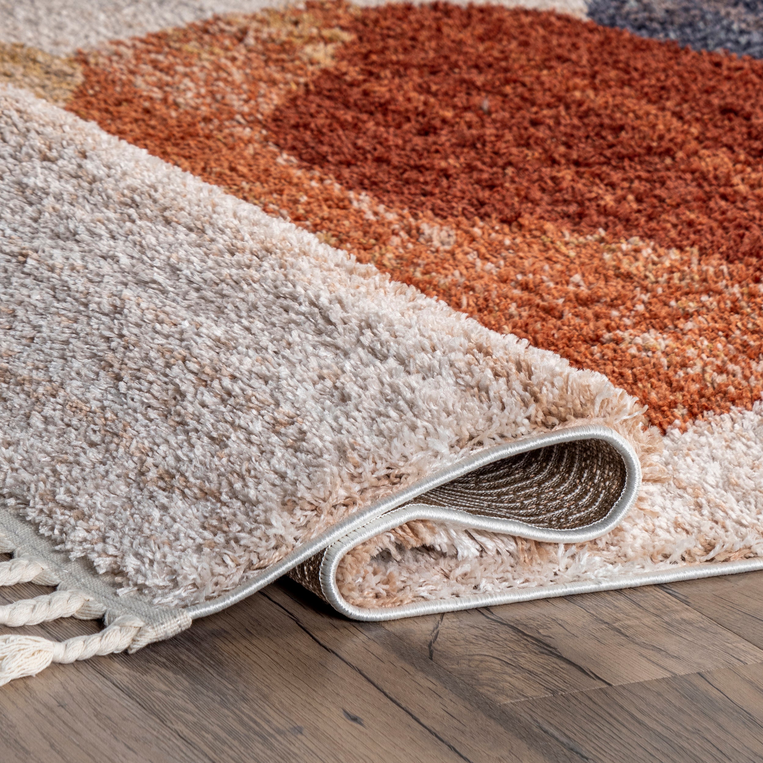 Kassidy Shaggy Contemporary Tassel Area Rug - Image 4