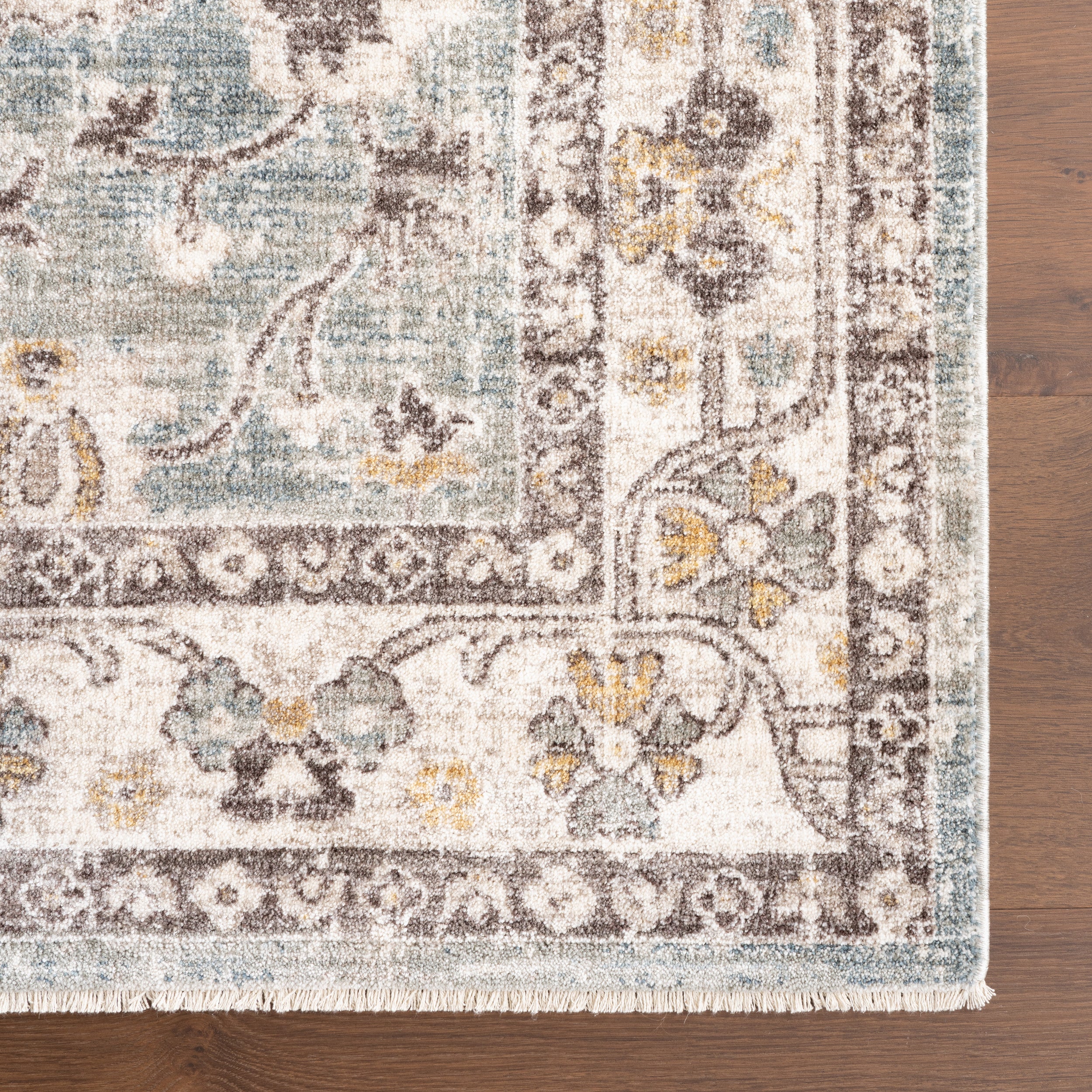 Delvina Vintage Traditional Medallion Area Rug - Image 6