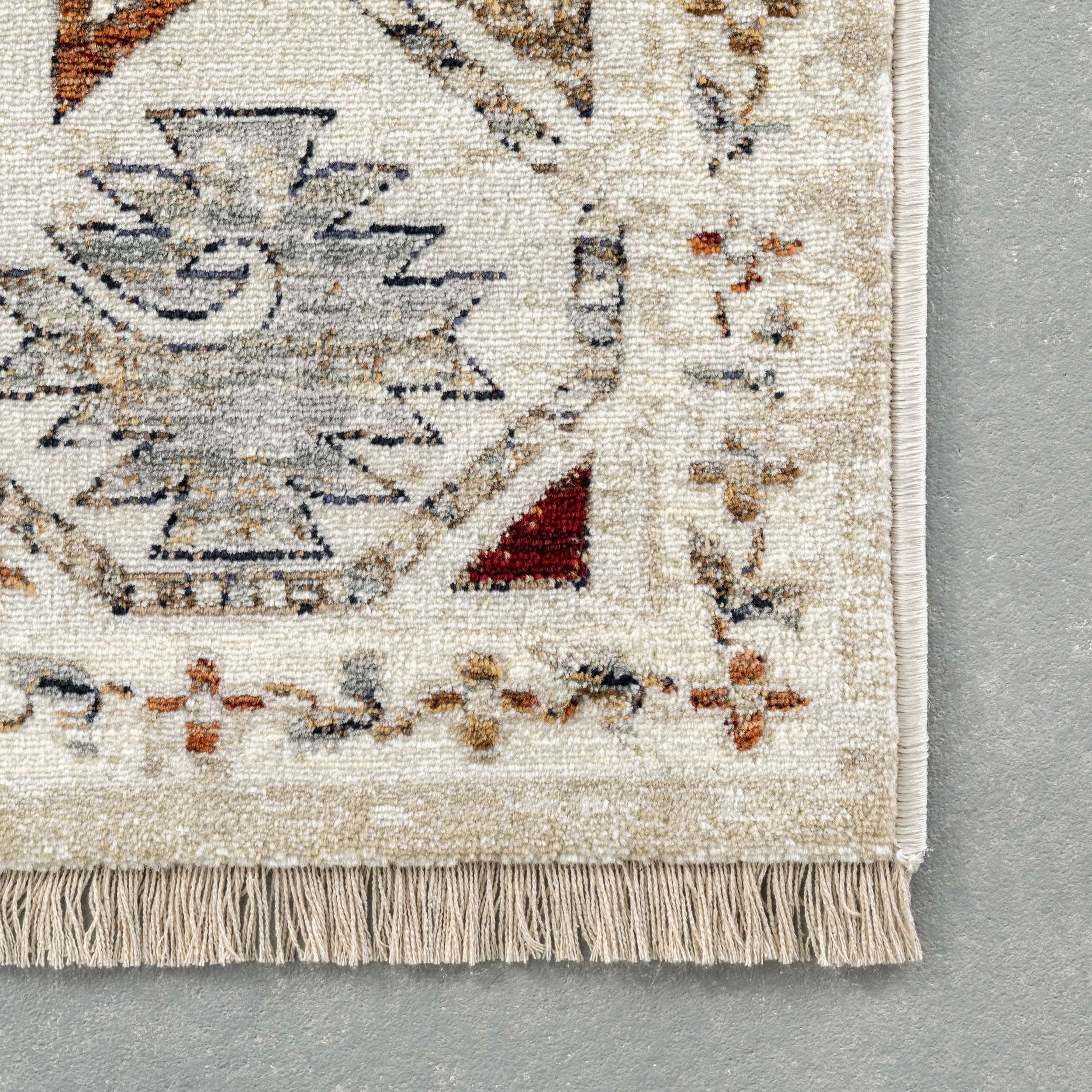 Astrid Traditional Motif Fringe Area Rug - Image 5