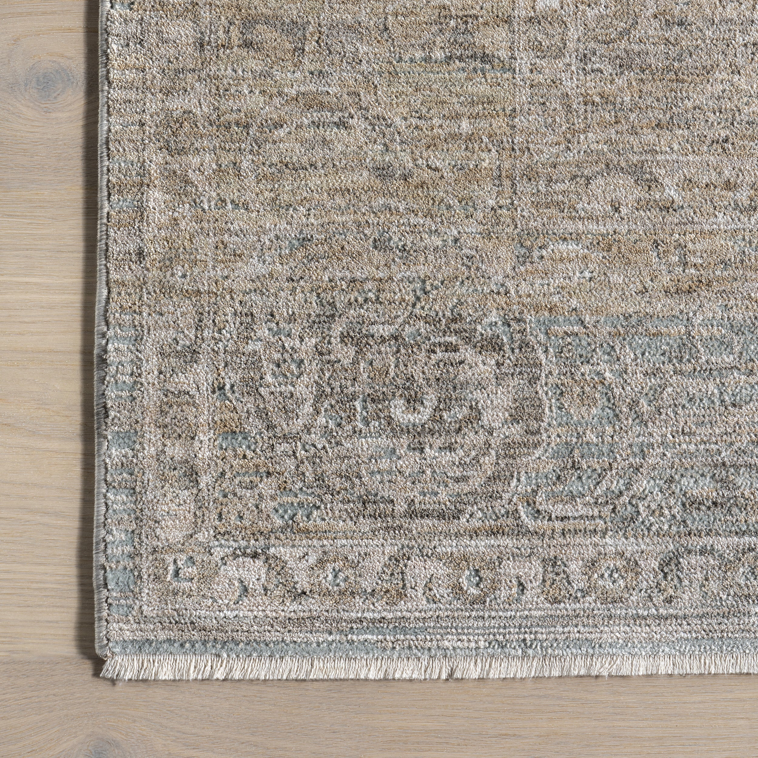Griselda Medallion Fringe Area Rug - Image 6