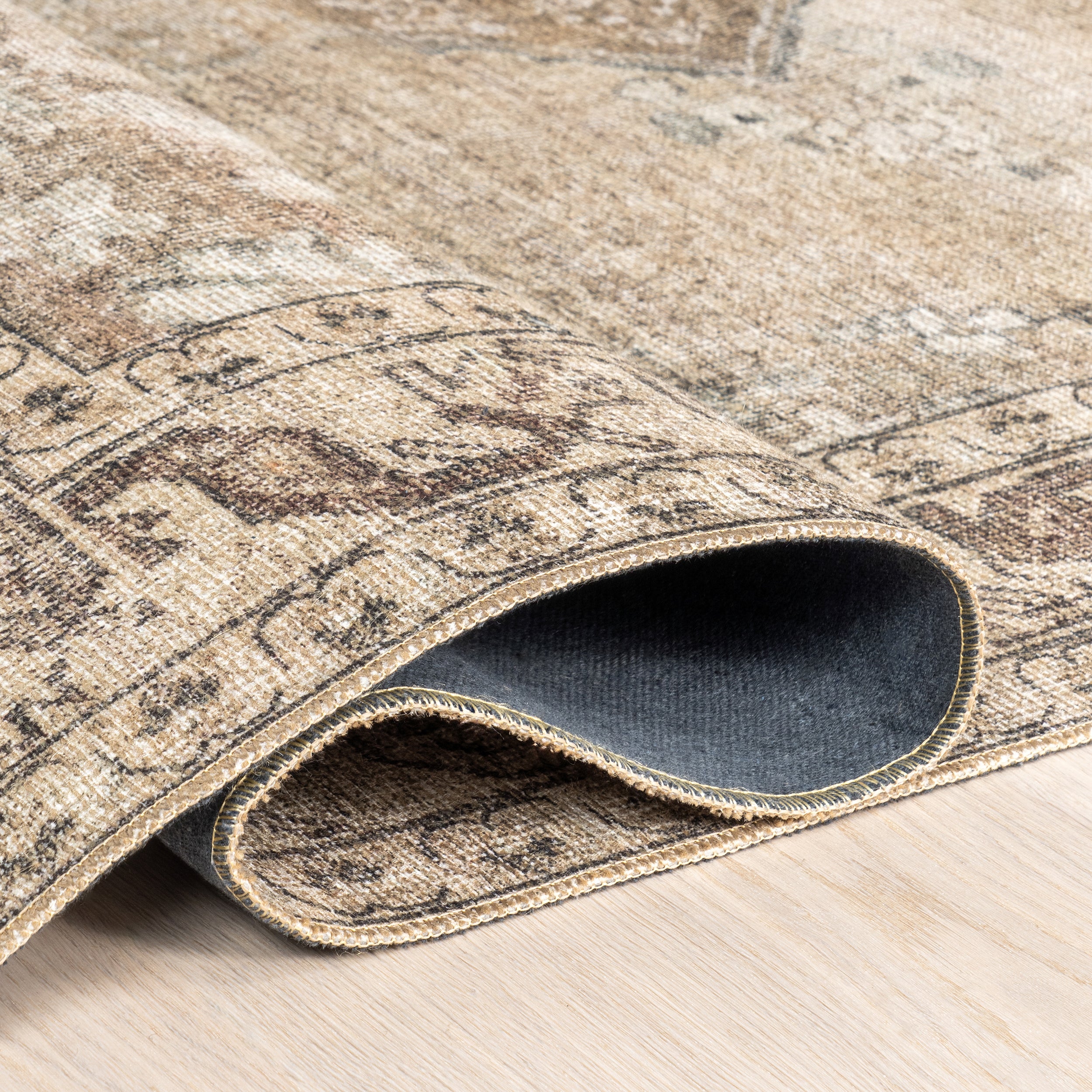 Hillstone Collection Ahmeira Traditional Vintage Medallion Area Rug - Image 4