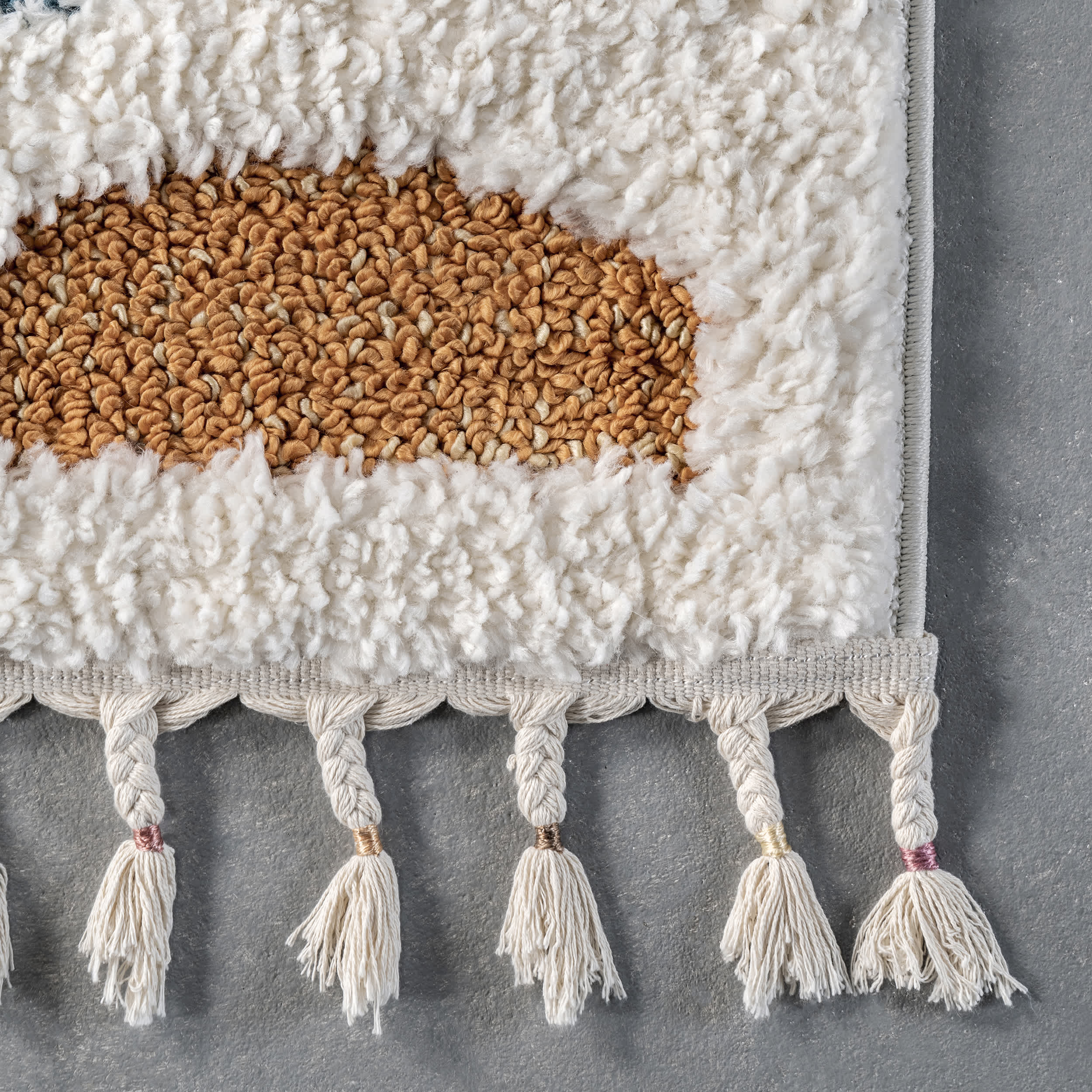 Maybelle Braided Tassle Modern Area Rug - Image 5