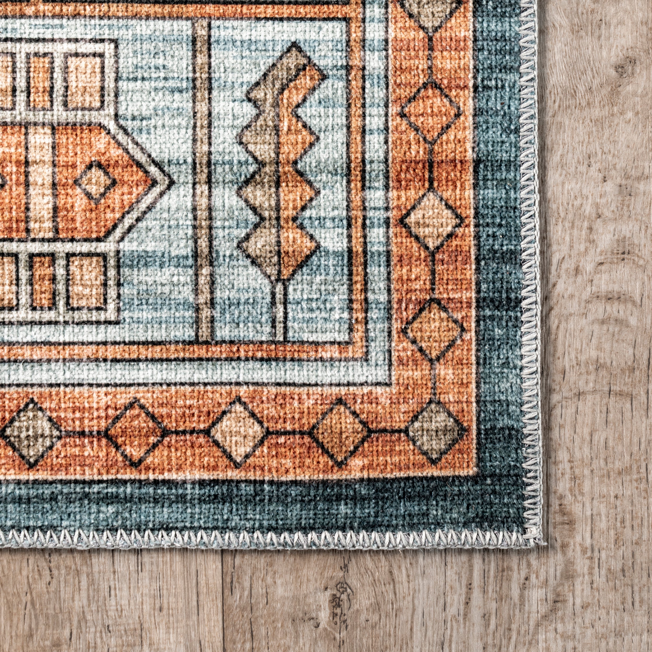 Heidy Vintage Traditional Machine Washable Area Rug - Image 5