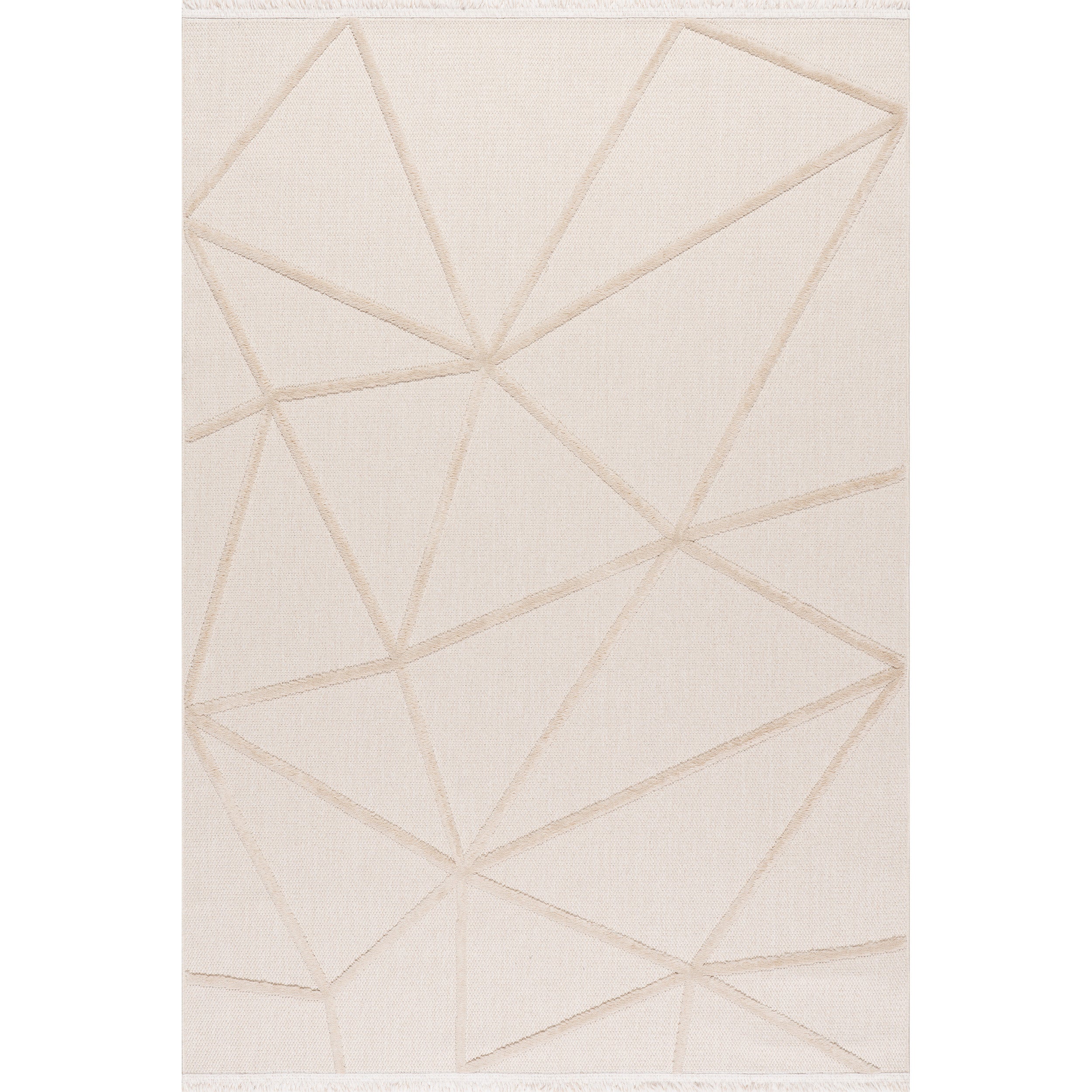 Anica Geometric Fringe Area Rug