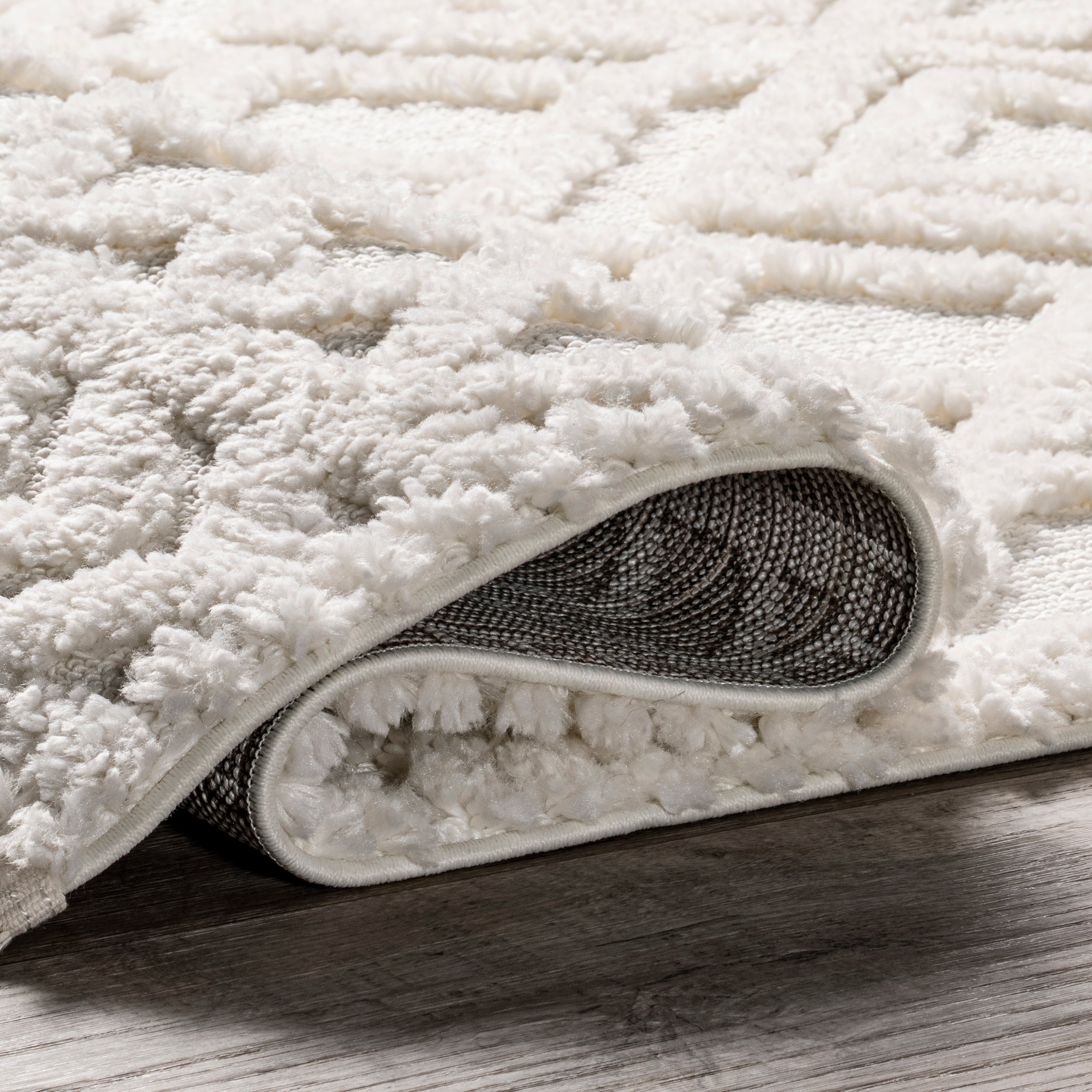 Akia Lattice High/Low Tassel Area Rug - Image 4