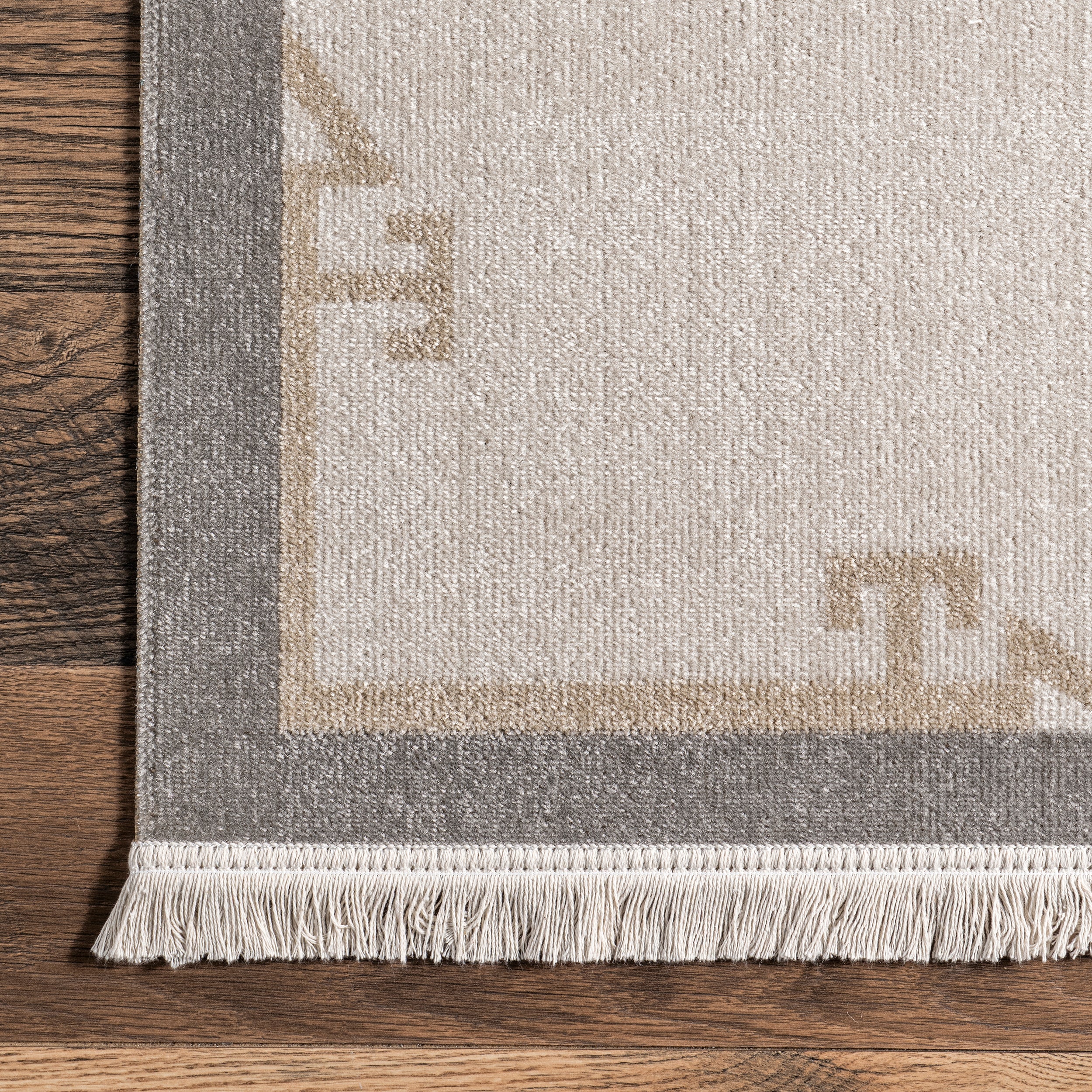 Isa Southwestern Indoor/Outdoor Fringe Area Rug - Image 5