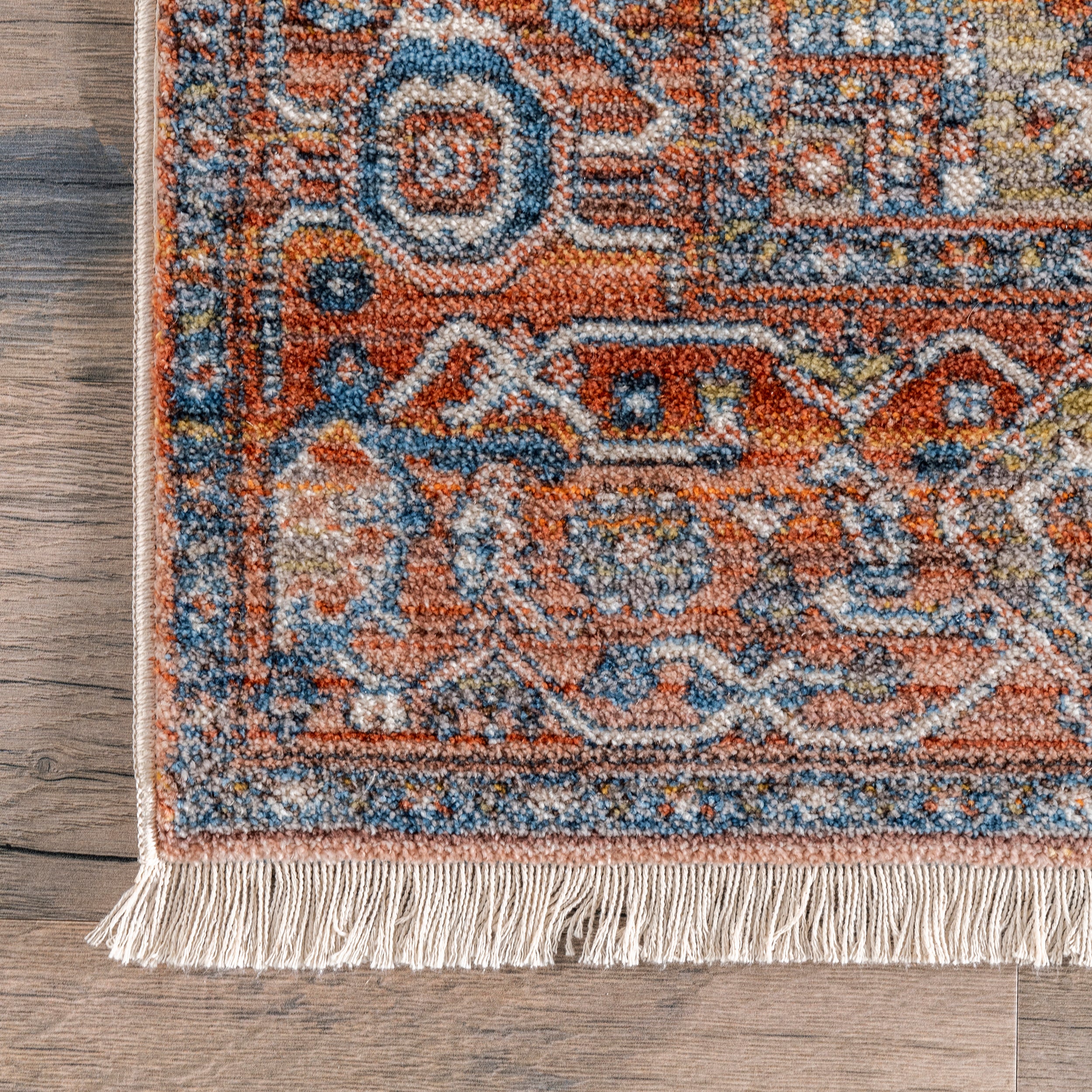 Harriet Vintage Medallion Fringe Area Rug - Image 5