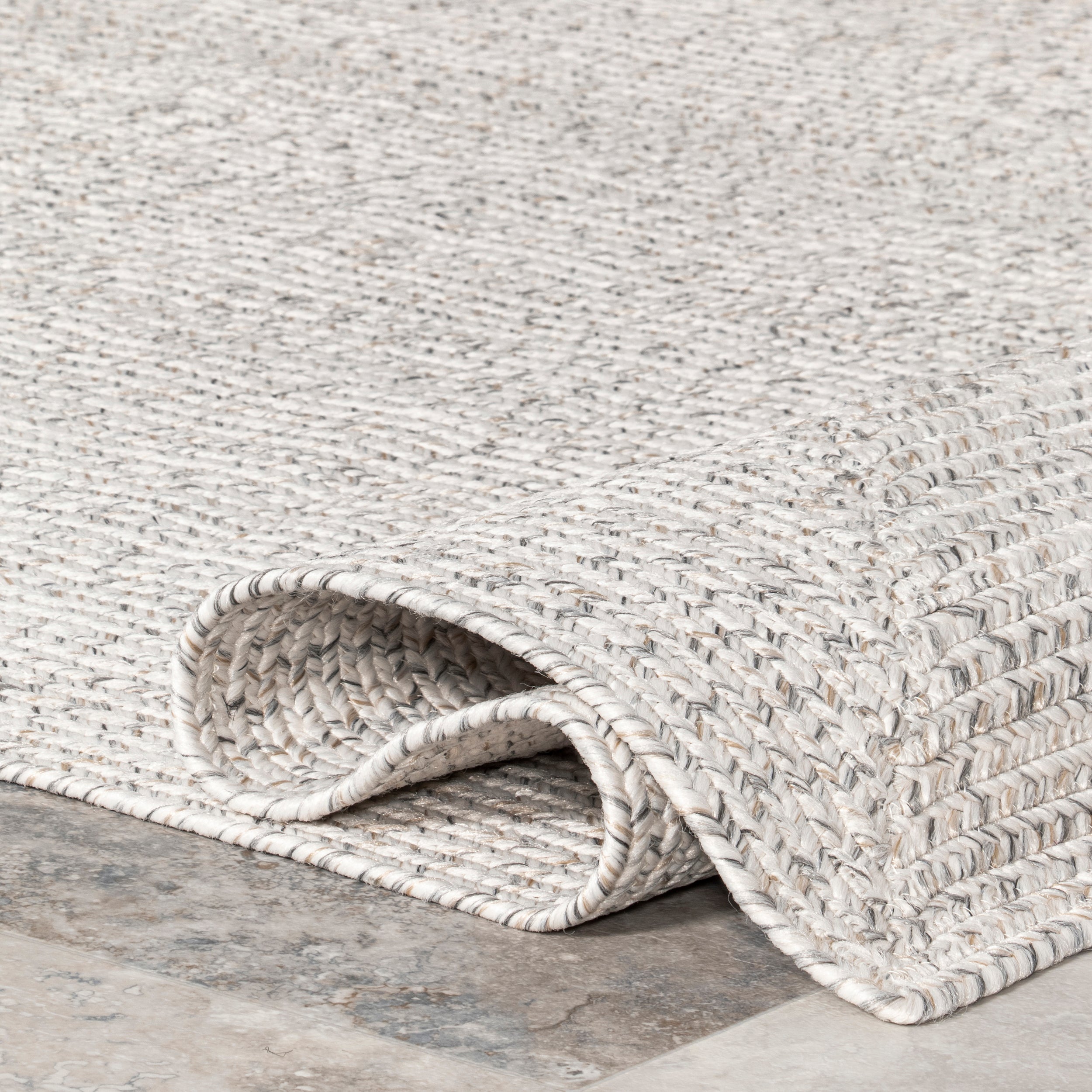 Wynn Braided Indoor/Outdoor Area Rug - Image 4