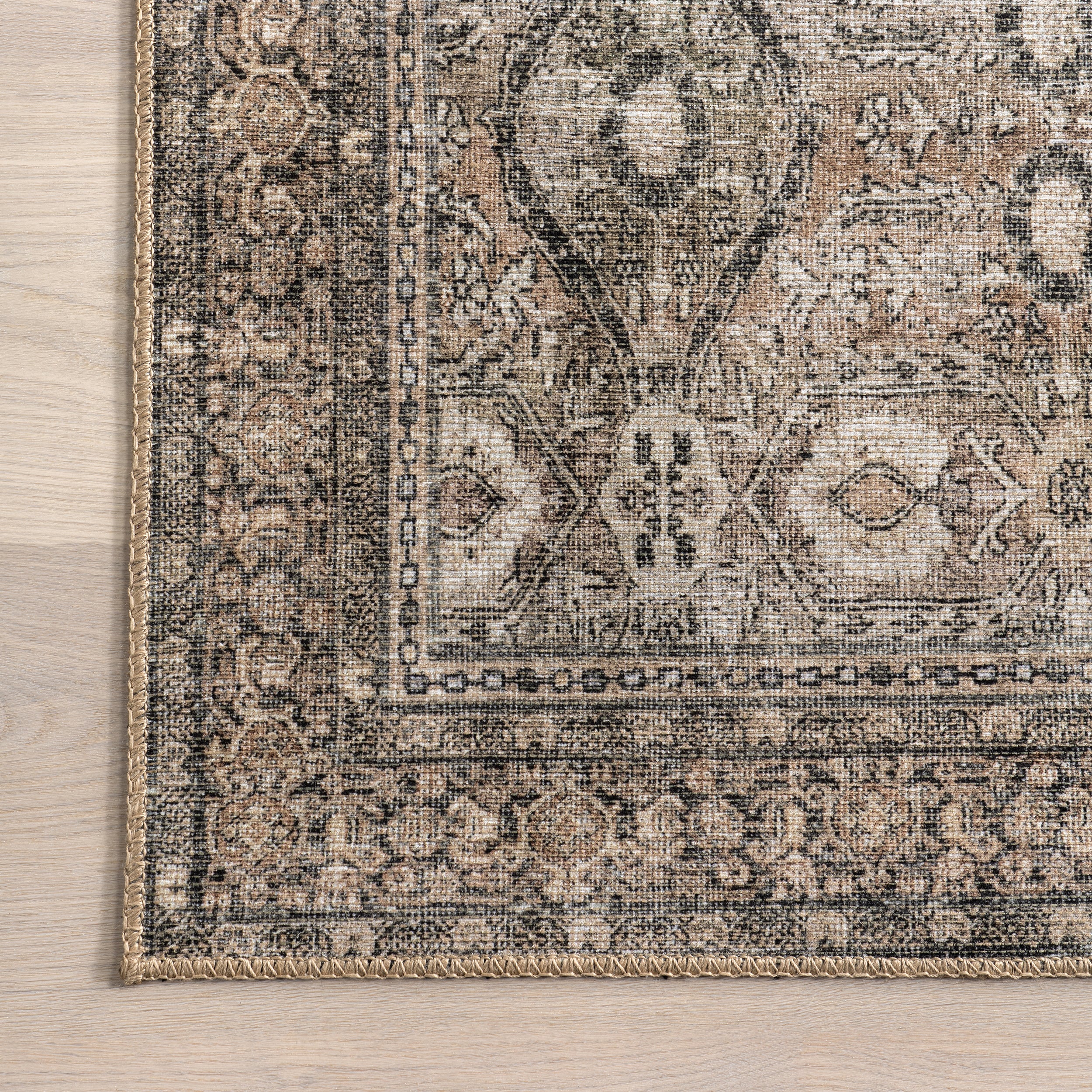 Hillstone Collection Aether Traditional Vintage Medallion Area Rug - Image 6