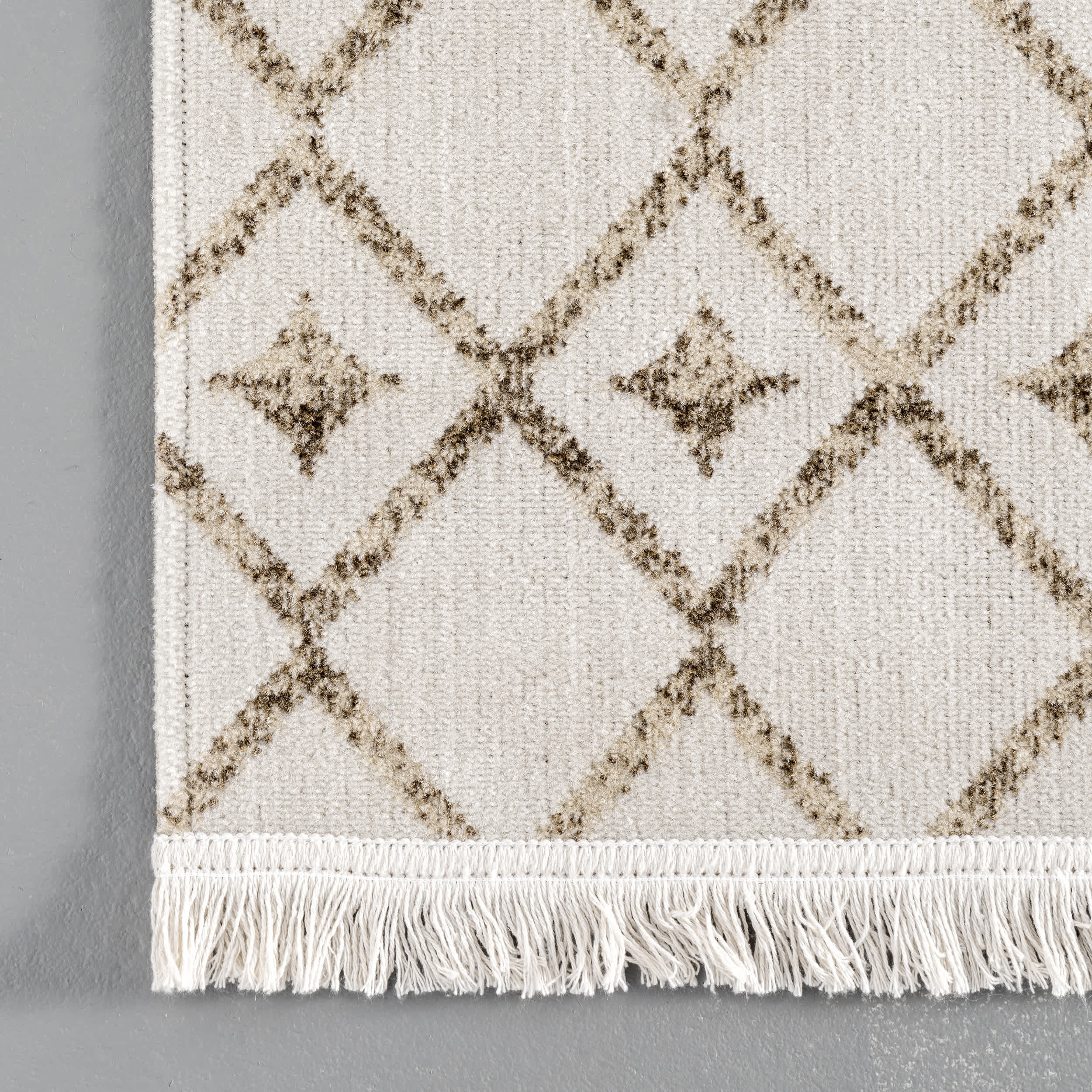 Indoor/Outdoor Trellis Rosalie Area Rug - Image 5