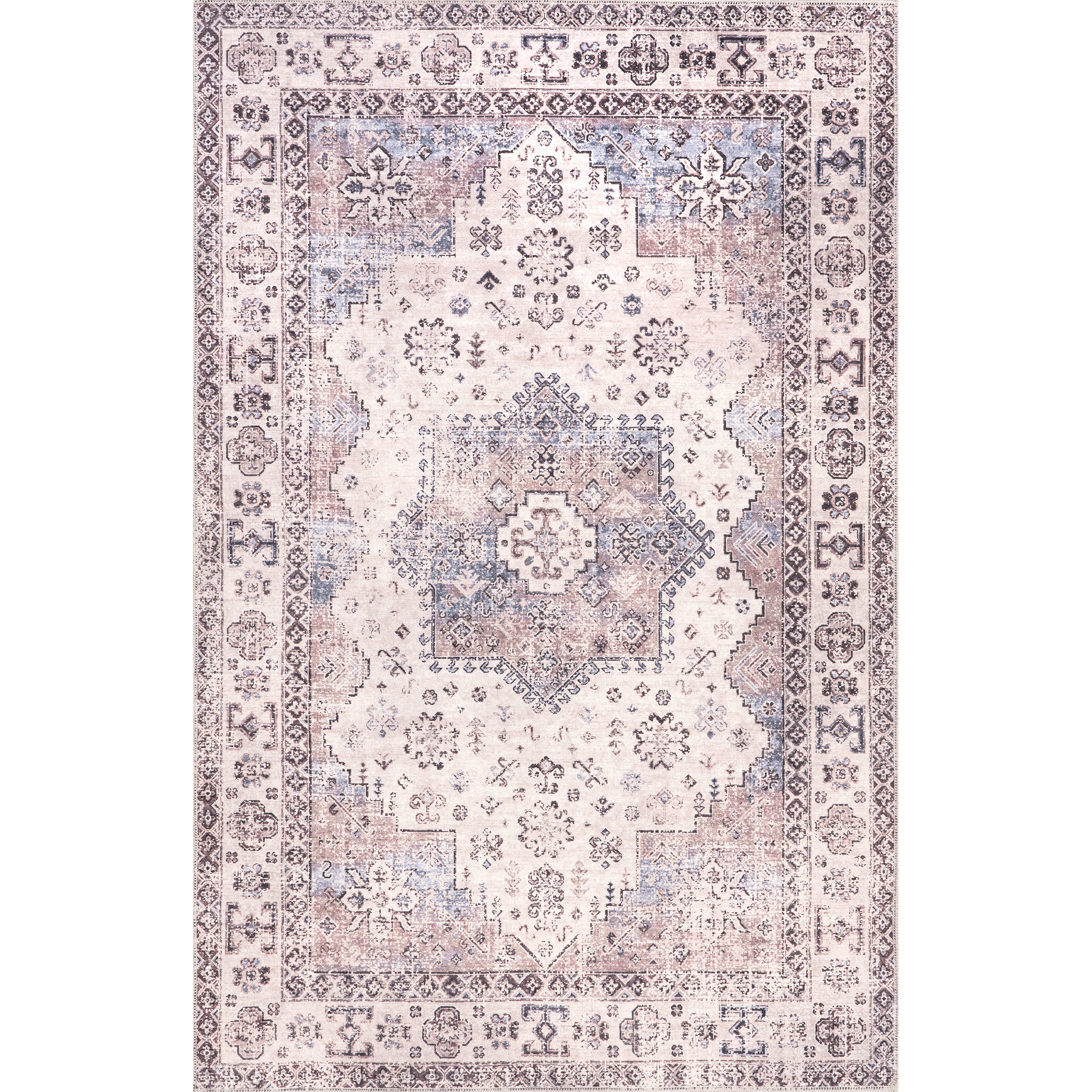 Sharyn Traditional Vintage Cotton Area Rug