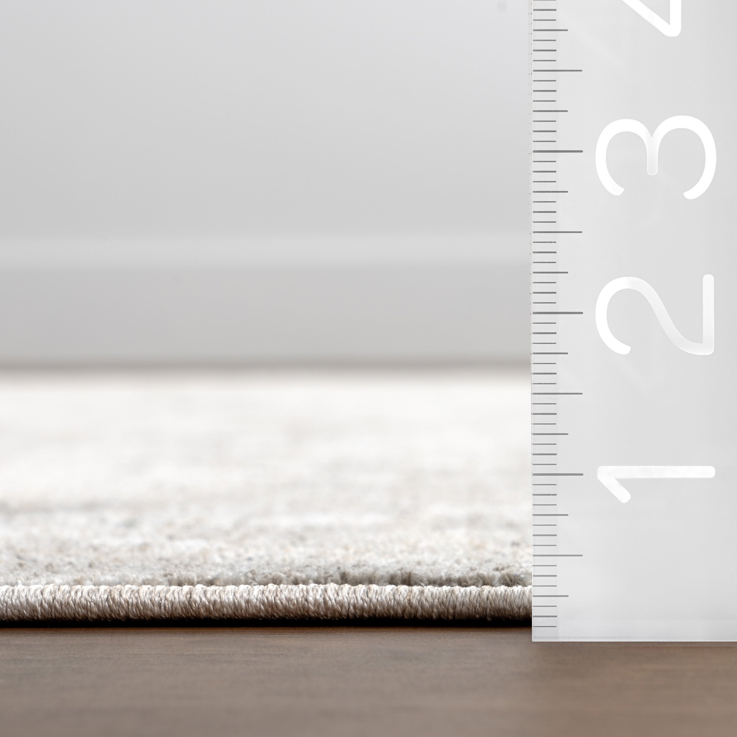 Graciela Medallion Fringe Area Rug - Image 3
