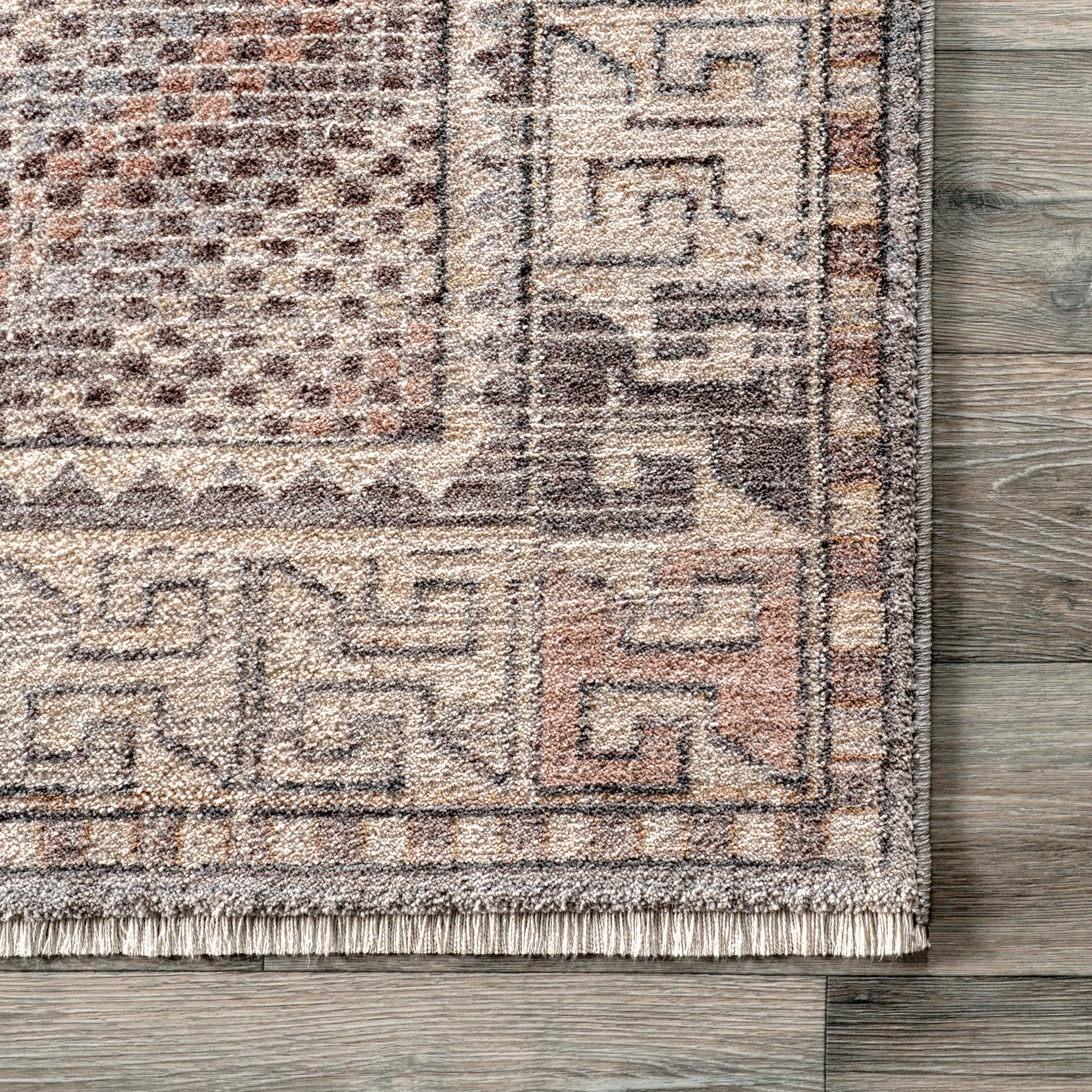 Zelie Traditional Medallion Fringe Area Rug - Image 5