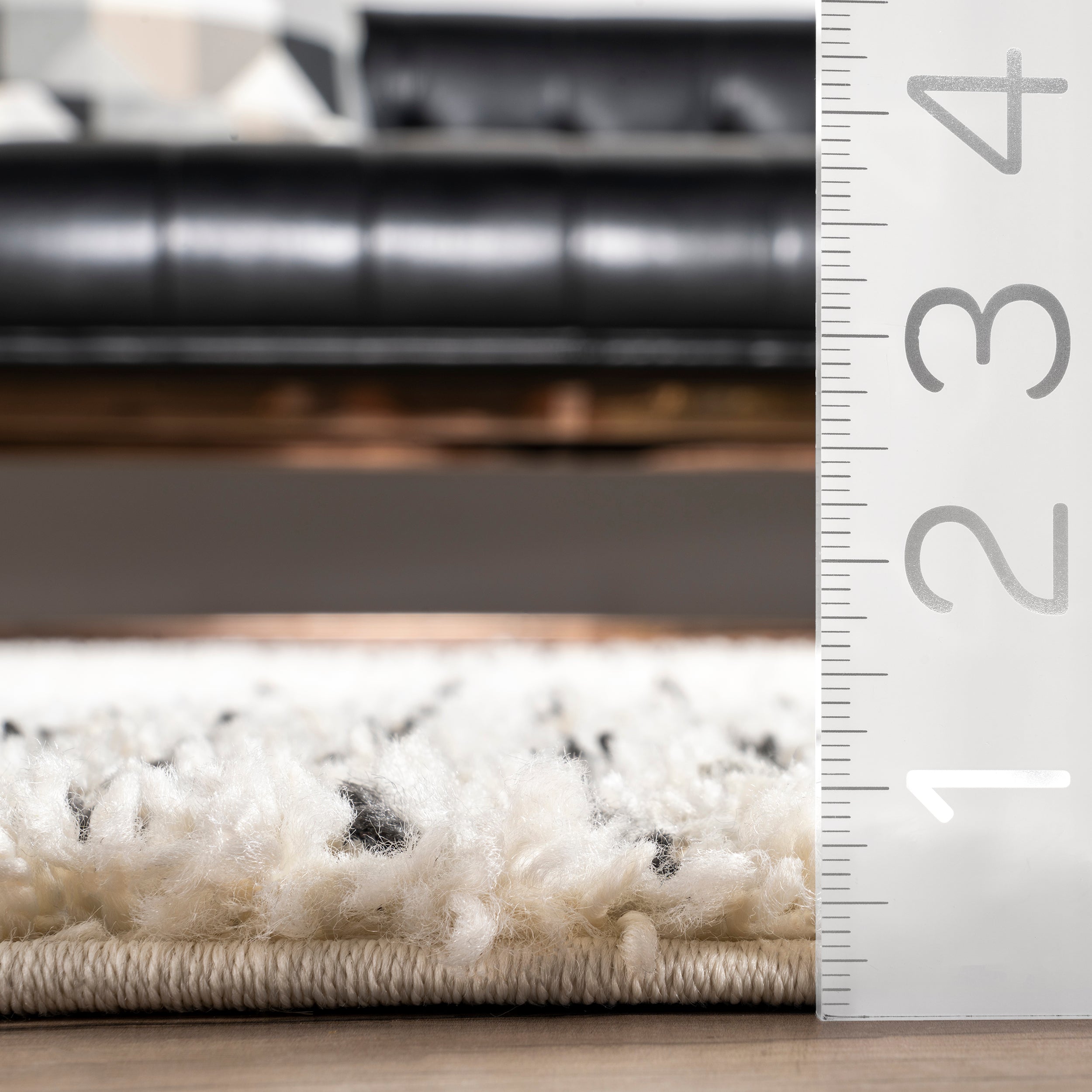 Bria Moroccan Shag Tasseled Area Rug - Image 3