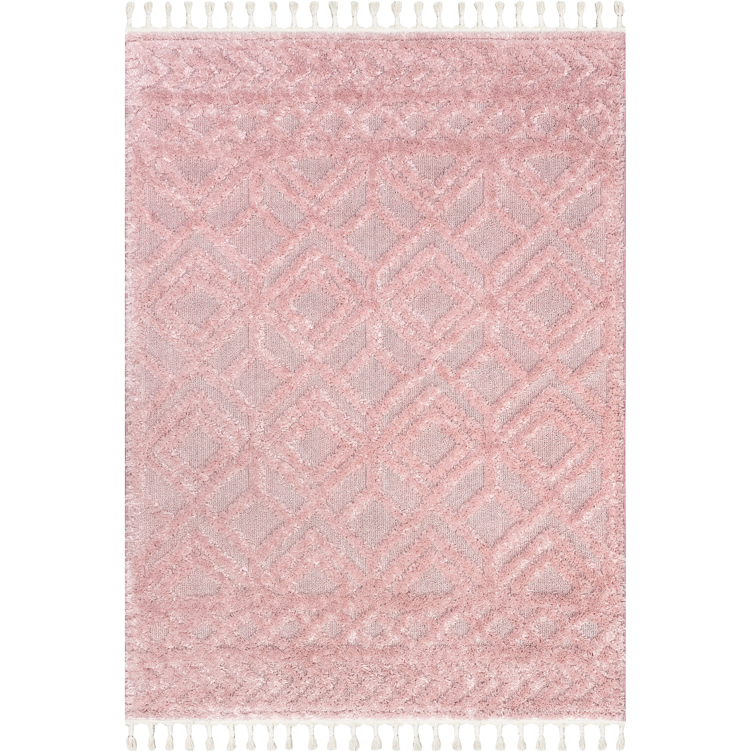 Akia Lattice High/Low Tassel Area Rug - Image 29