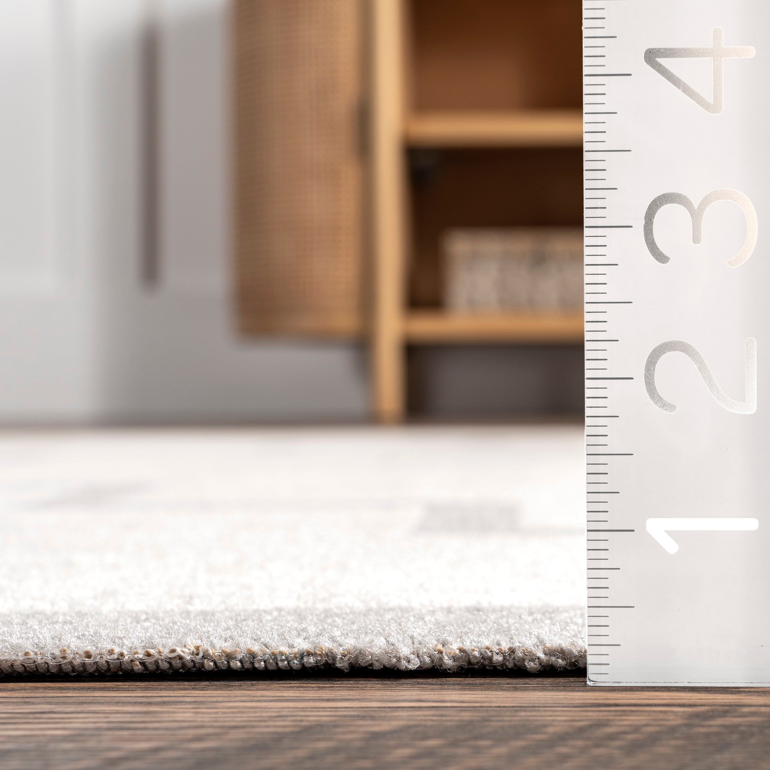 Isa Southwestern Indoor/Outdoor Fringe Area Rug - Image 3