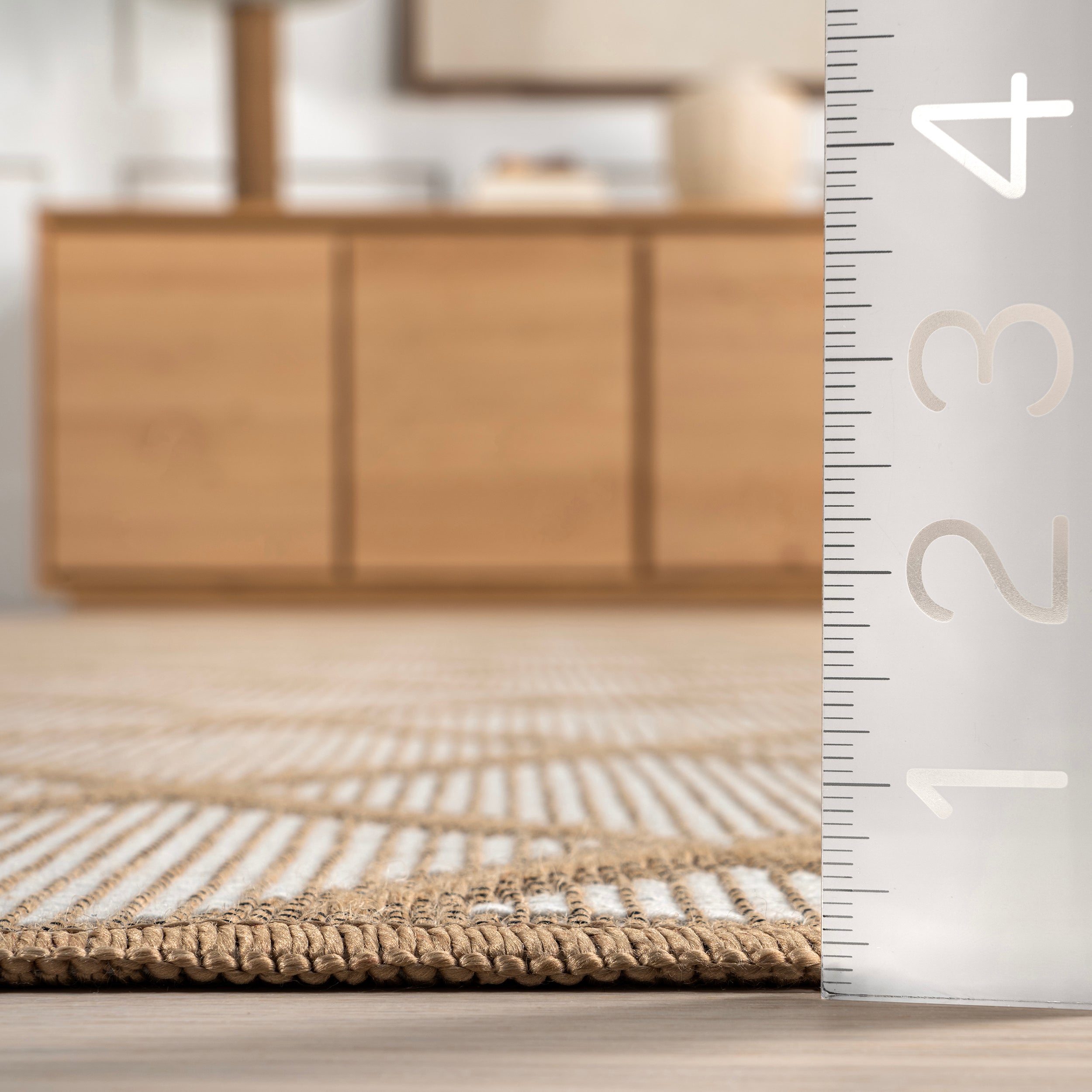 Eleanora Geometric Transitional Jute Area Rug - Image 3