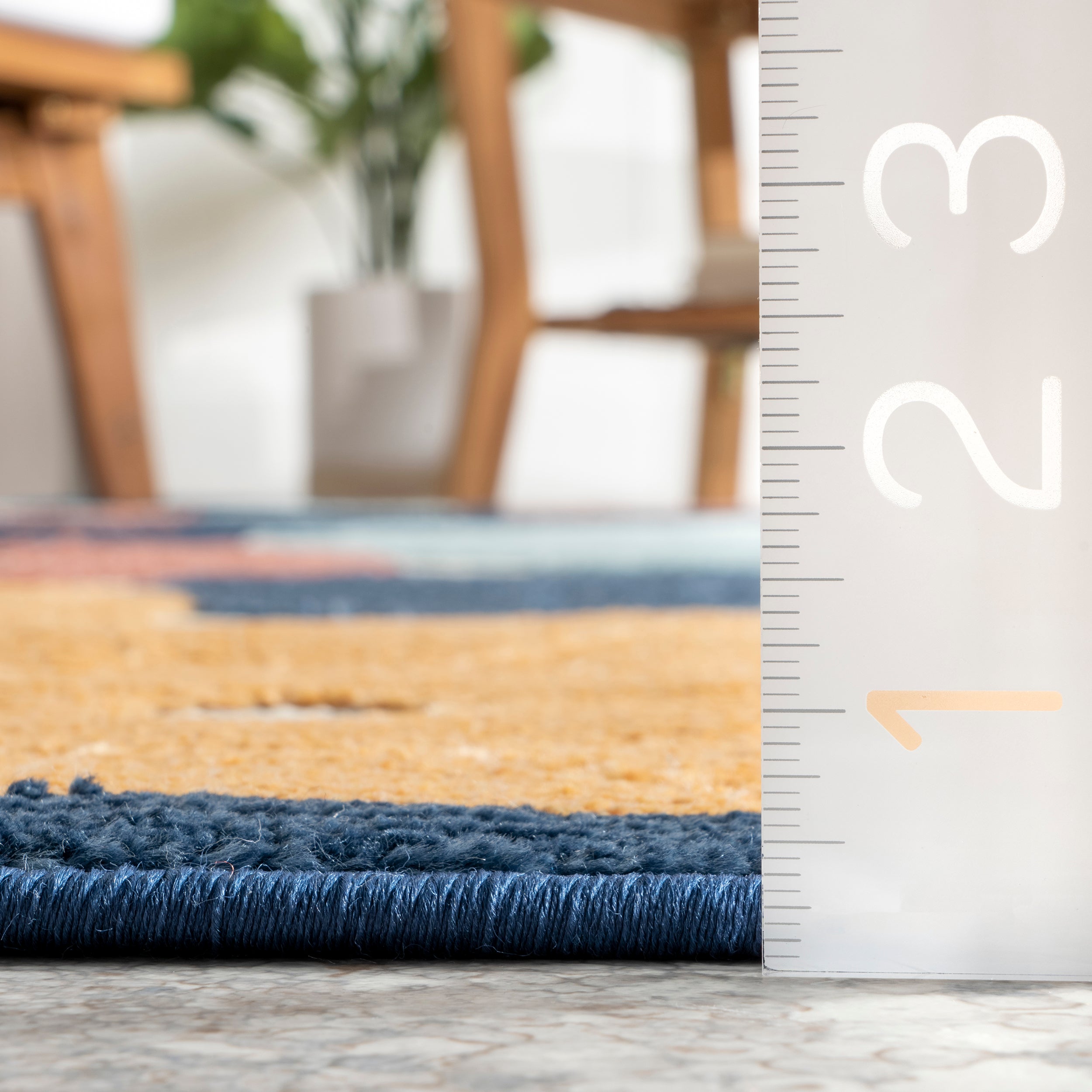 Crissie Coastal Sand Dollar Indoor/Outdoor Area Rug - Image 3