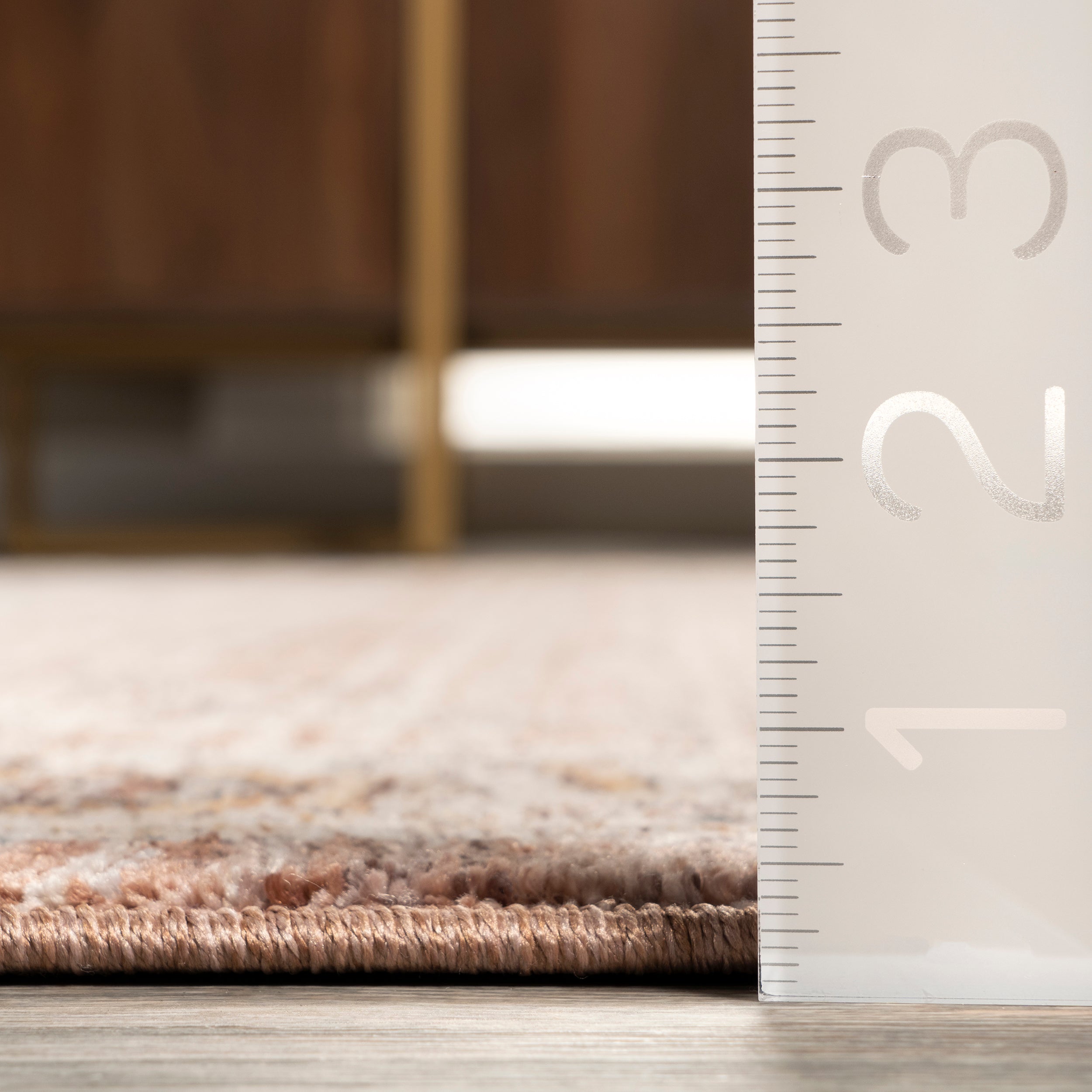 Sorsha Persian Traditional Fringe Area Rug - Image 3