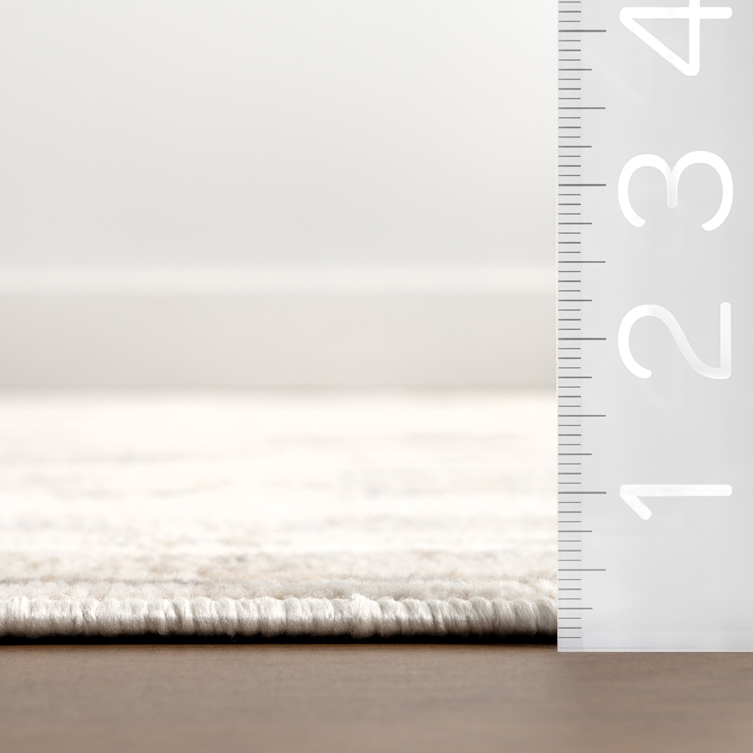 Nissa Traditional Medallion Area Rug - Image 3