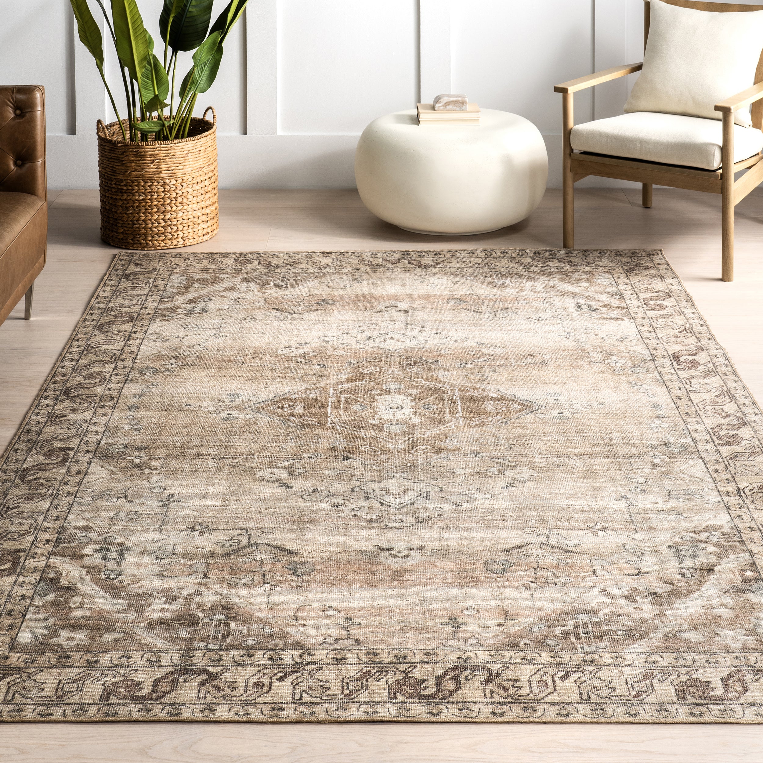 Hillstone Collection Ahmeira Traditional Vintage Medallion Area Rug - Image 9