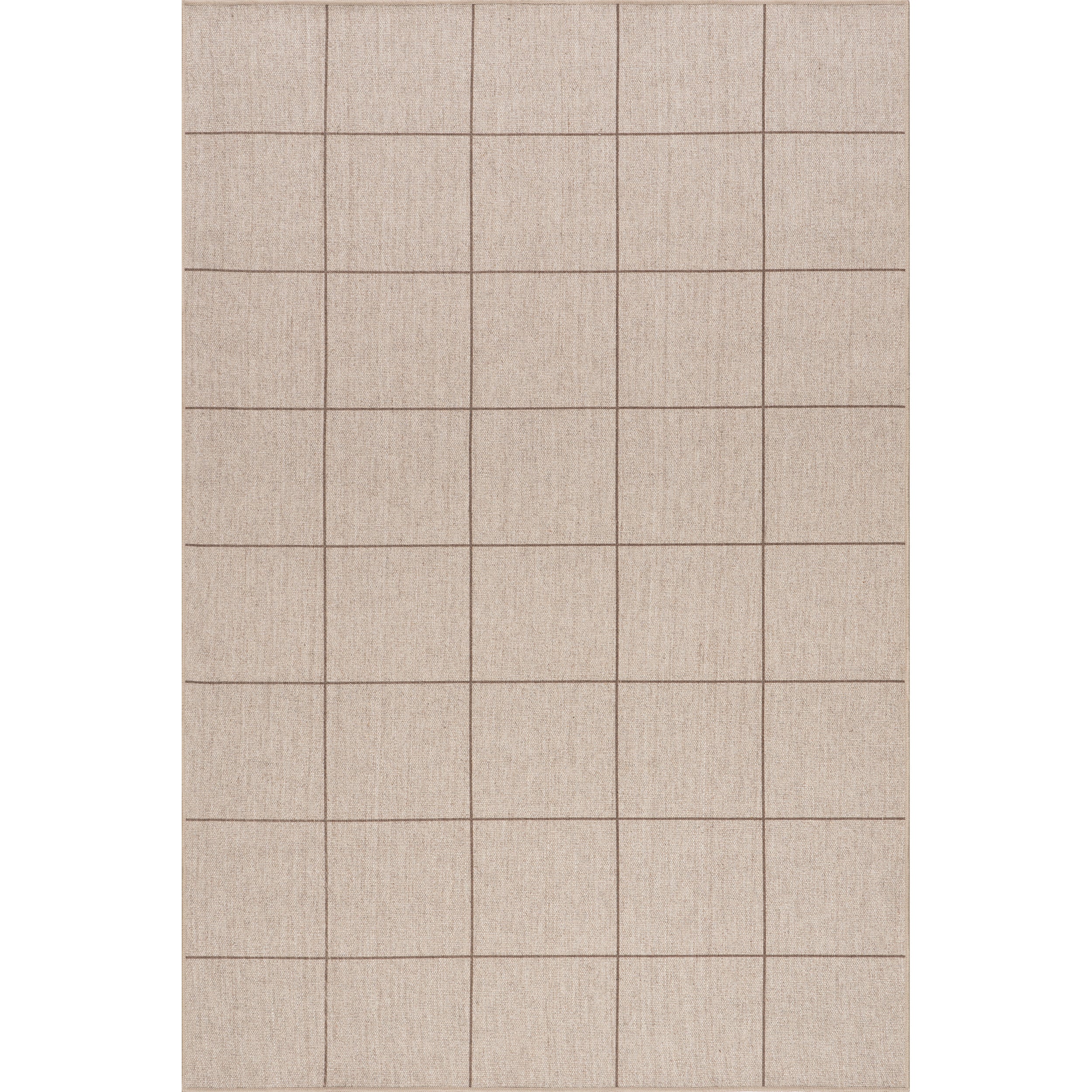 Calandra Checkered Machine Washable Area Rug