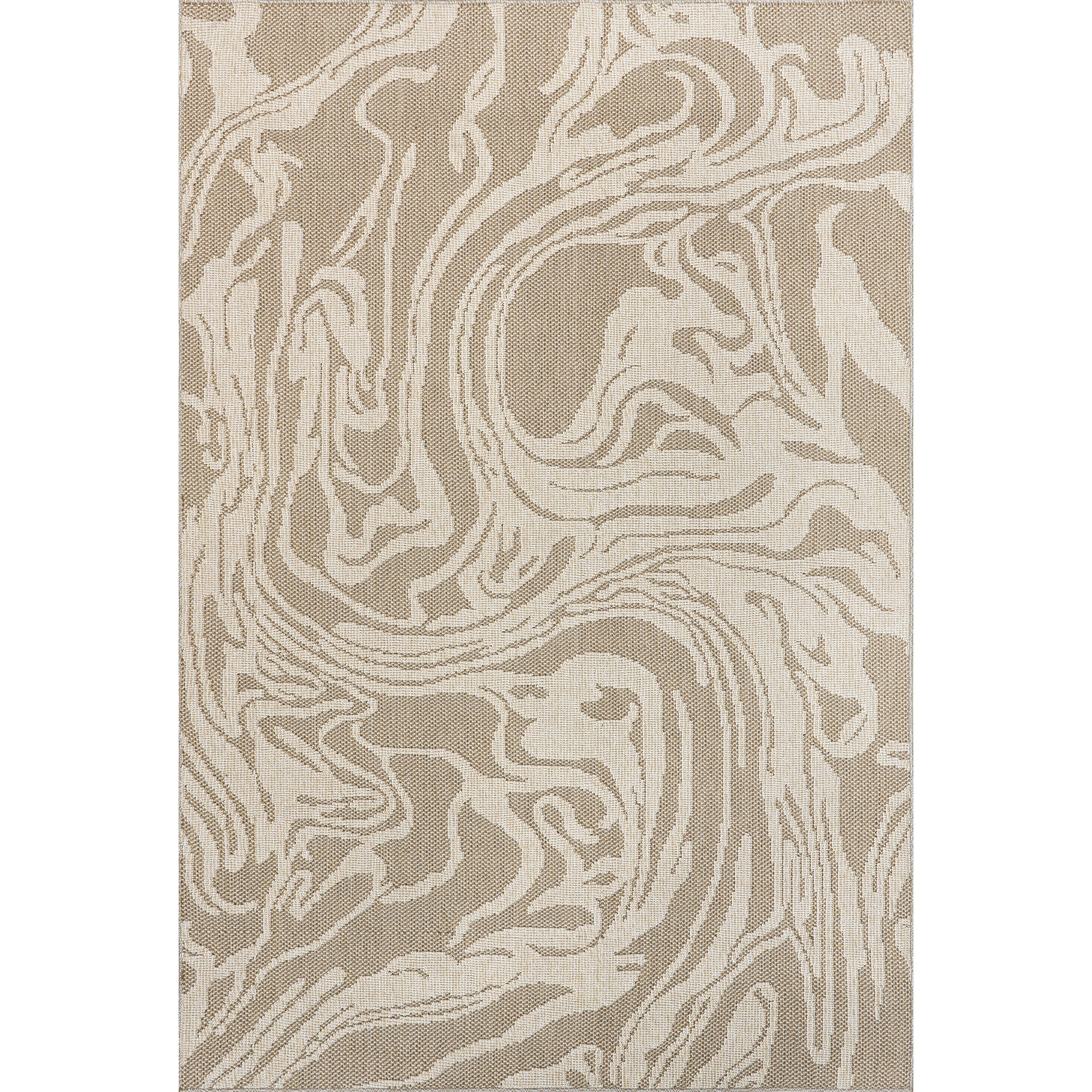 Leisa Abstract Swirls Indoor/Outdoor Area Rug