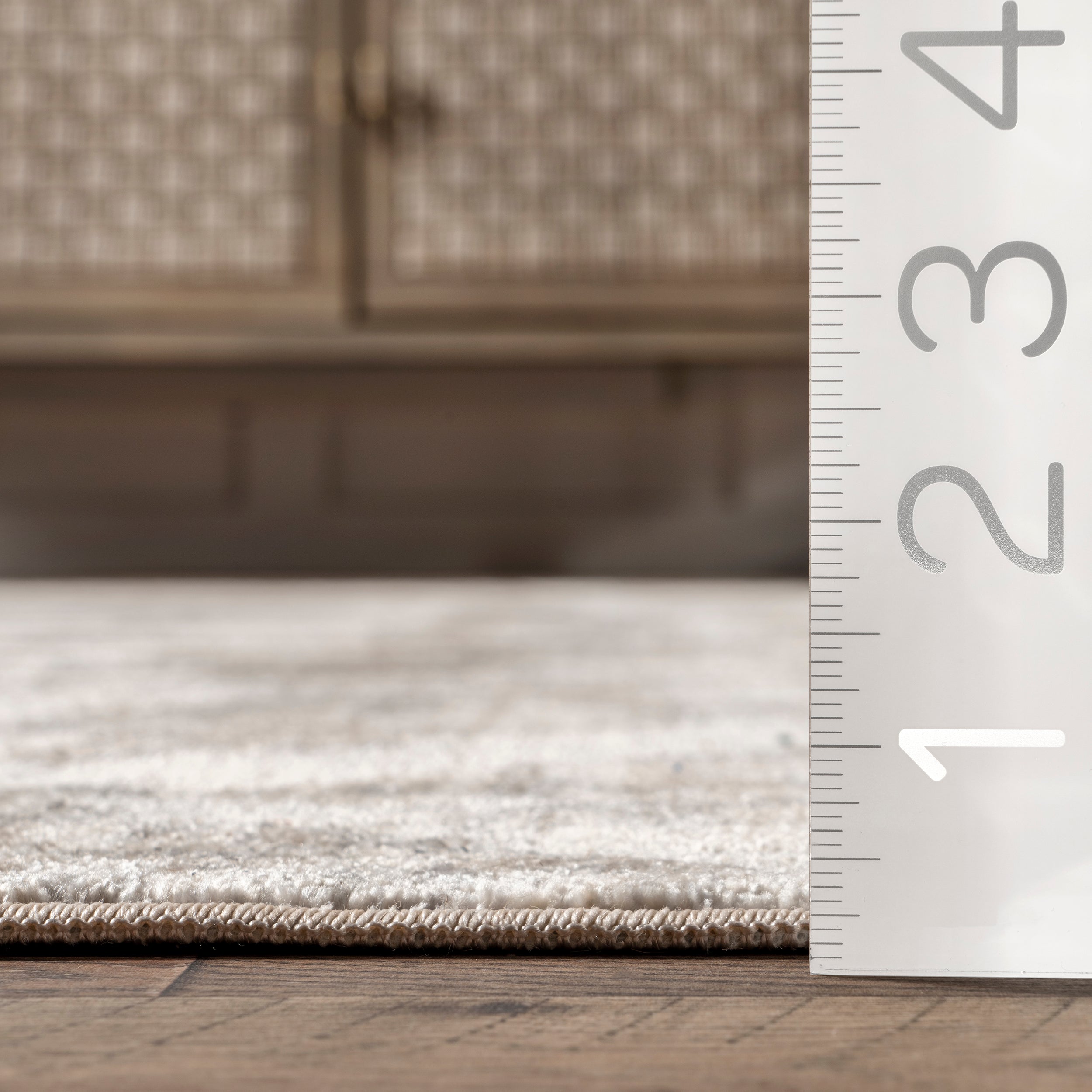 Harriet Vintage Medallion Fringe Area Rug - Image 13