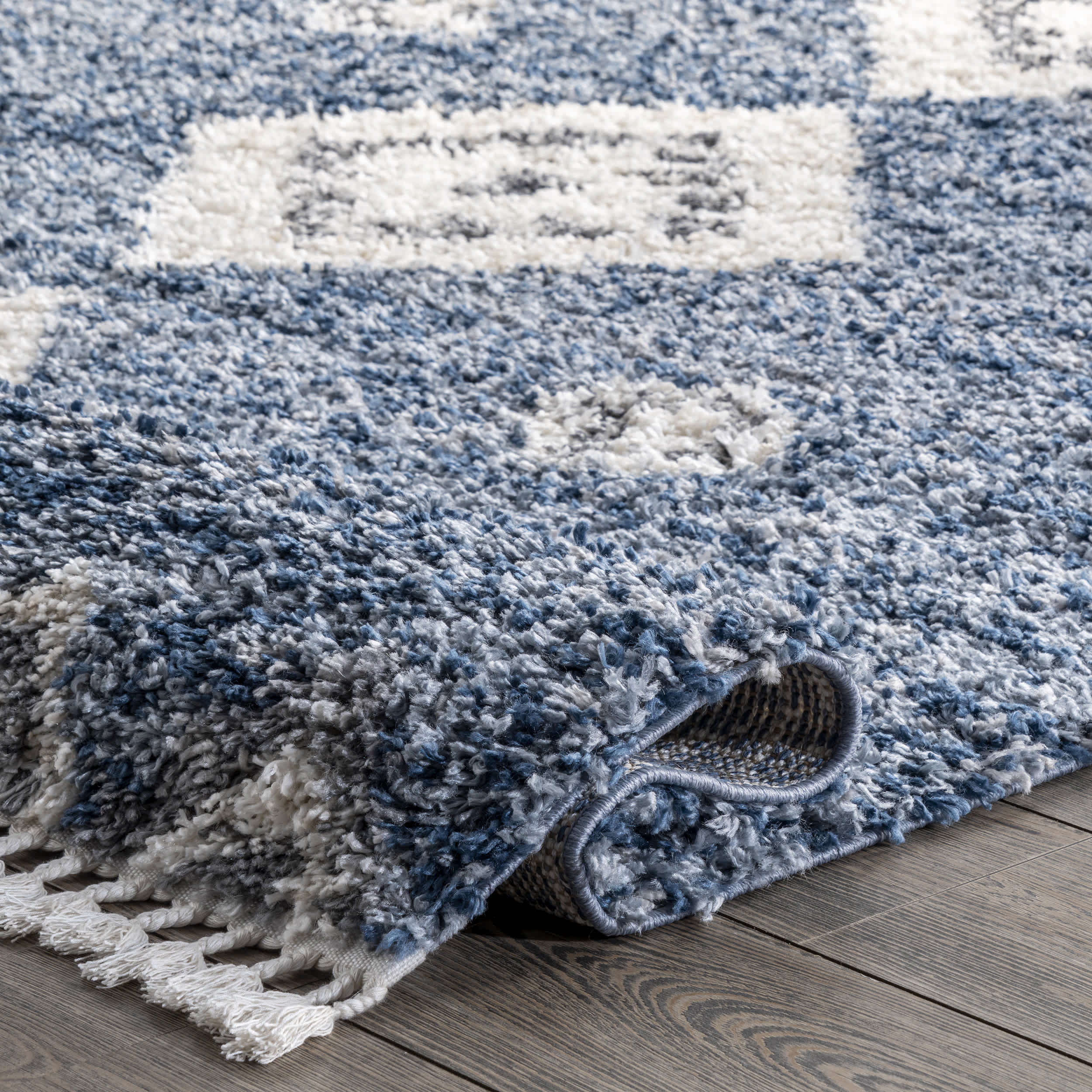 Transitional Regina Shag Area Rug - Image 4