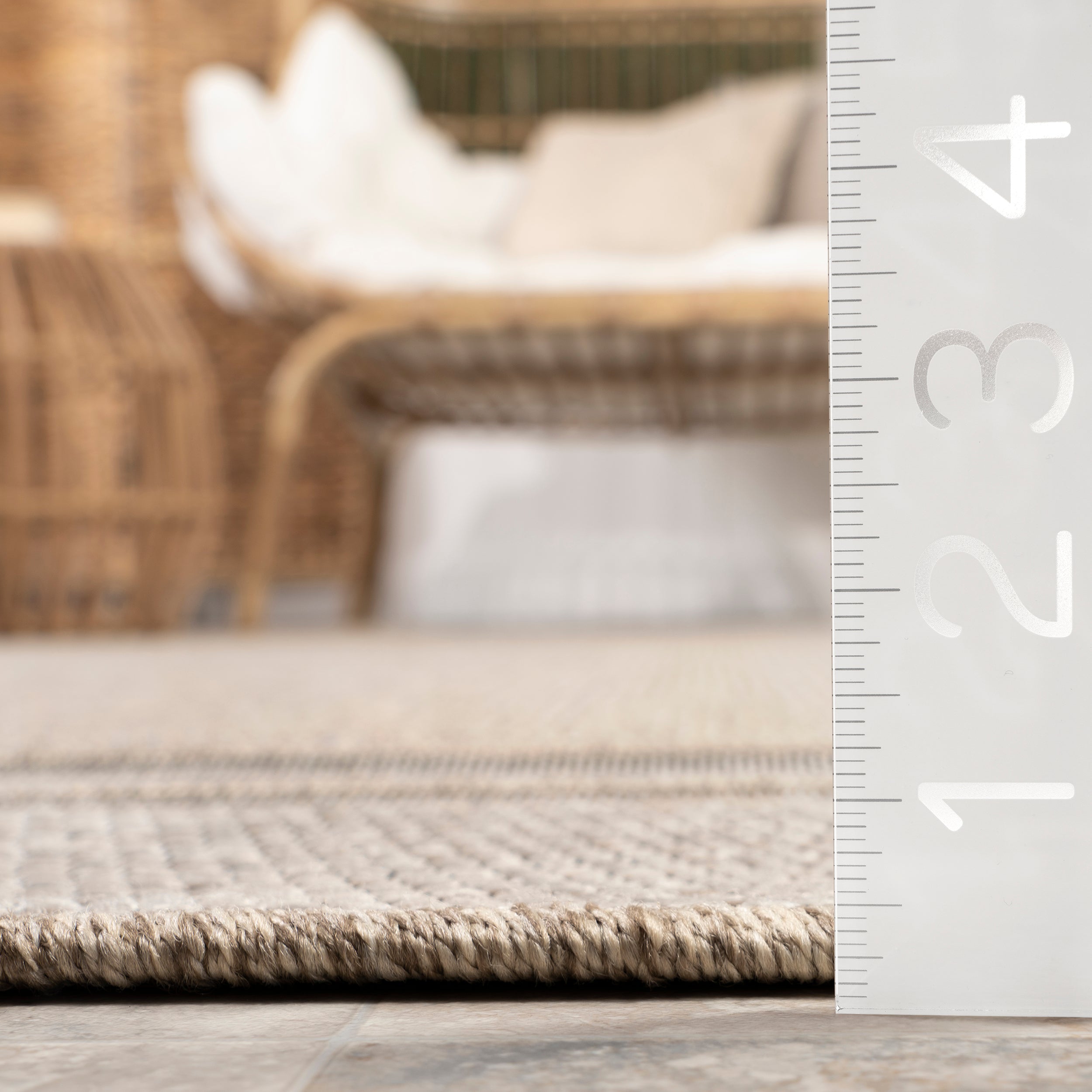 Inaya Casual Bordered Indoor/Outdoor Area Rug - Image 3